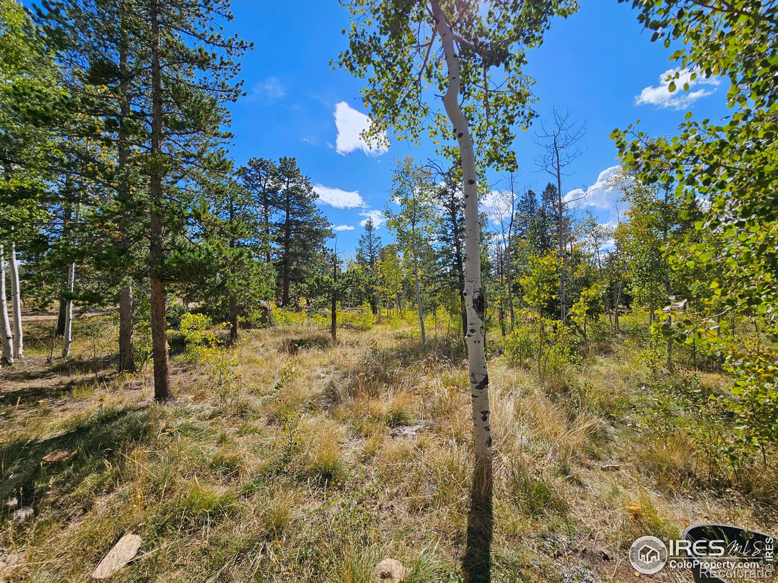 MLS Image #16 for 143  sutiki drive,red feather lakes, Colorado