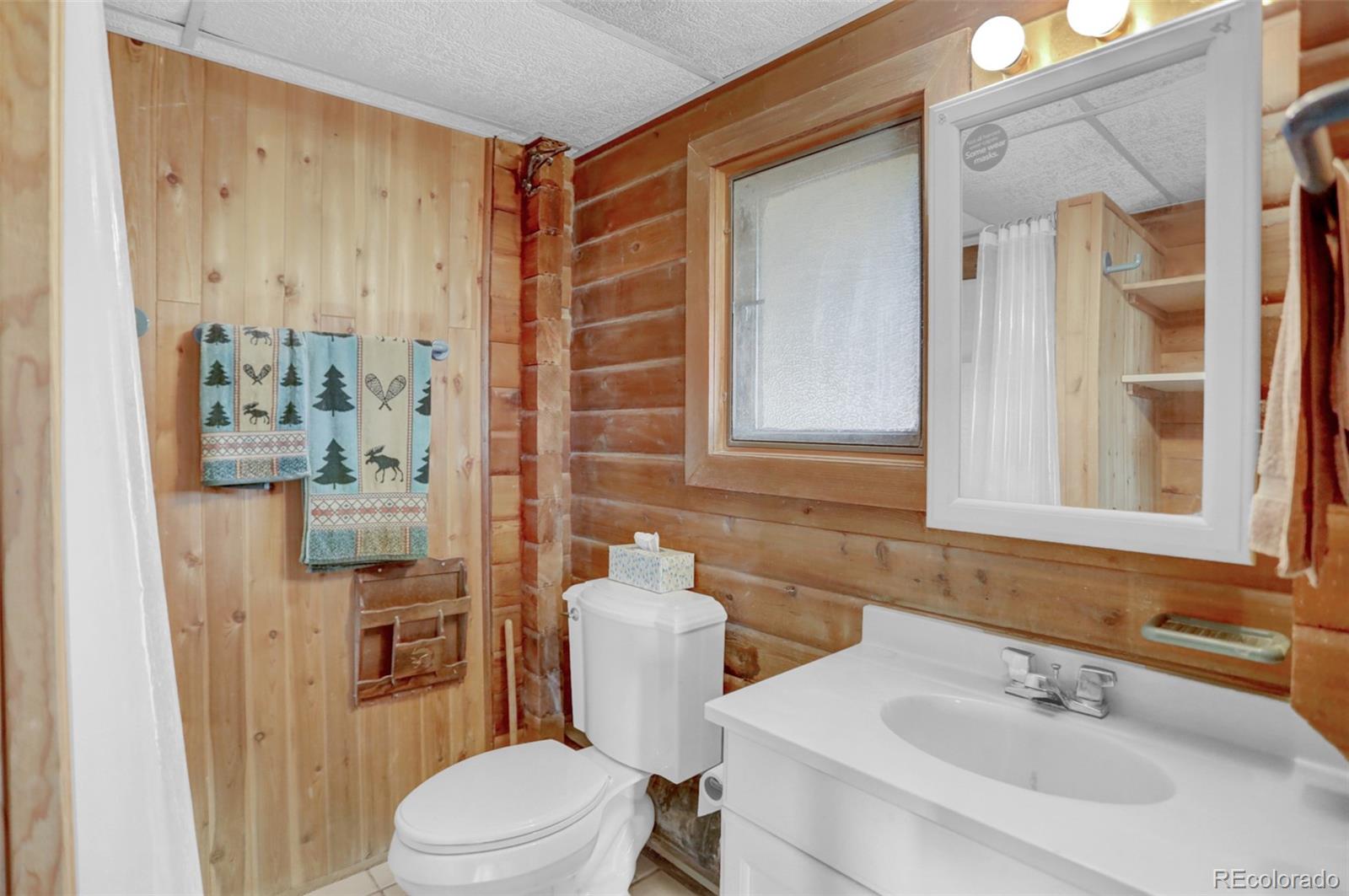 MLS Image #21 for 37695  county road 179 ,steamboat springs, Colorado