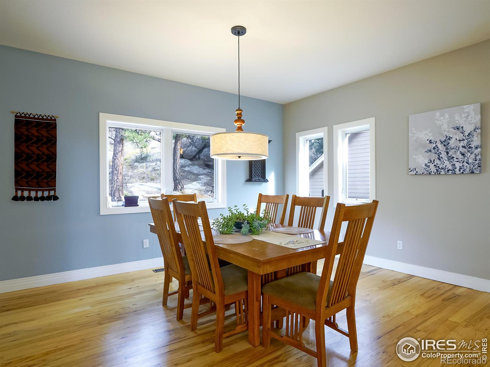 MLS Image #10 for 180  valley view lane,lyons, Colorado