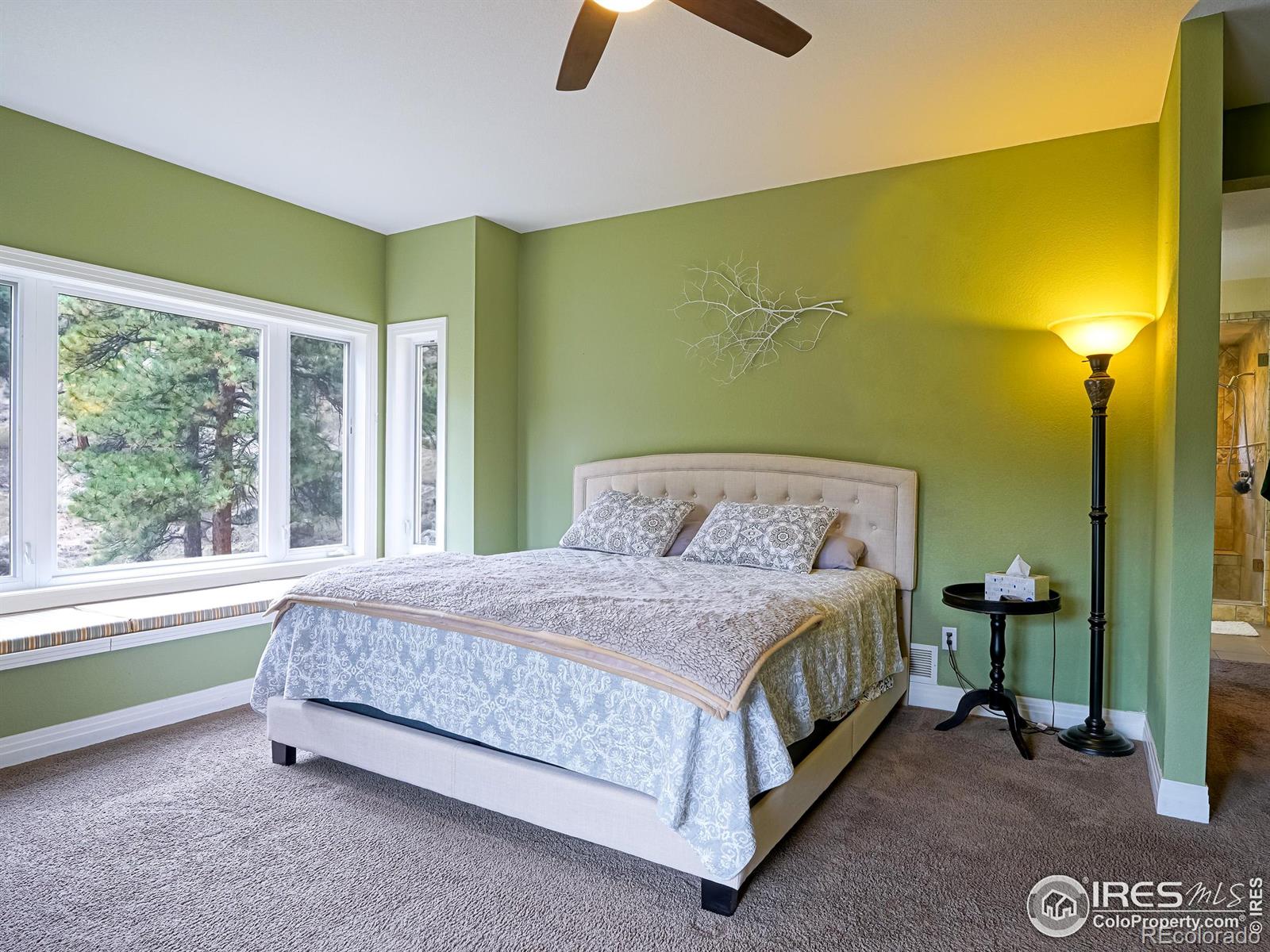 MLS Image #29 for 180  valley view lane,lyons, Colorado