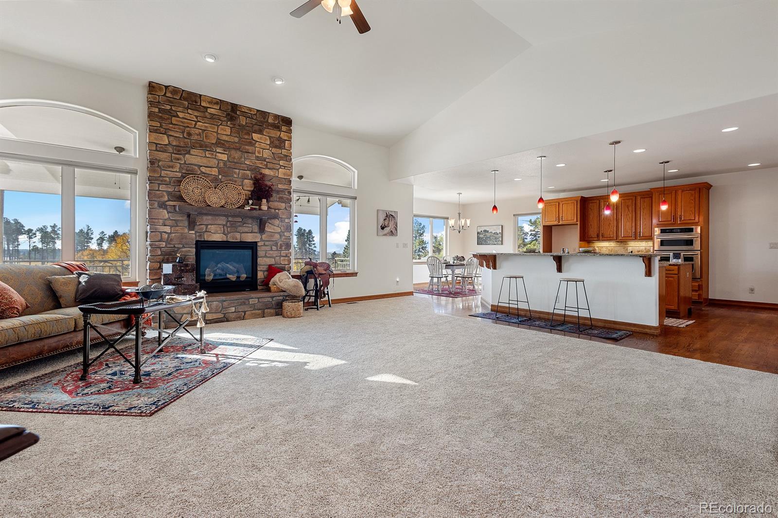 MLS Image #27 for 13825  wildoak drive,colorado springs, Colorado