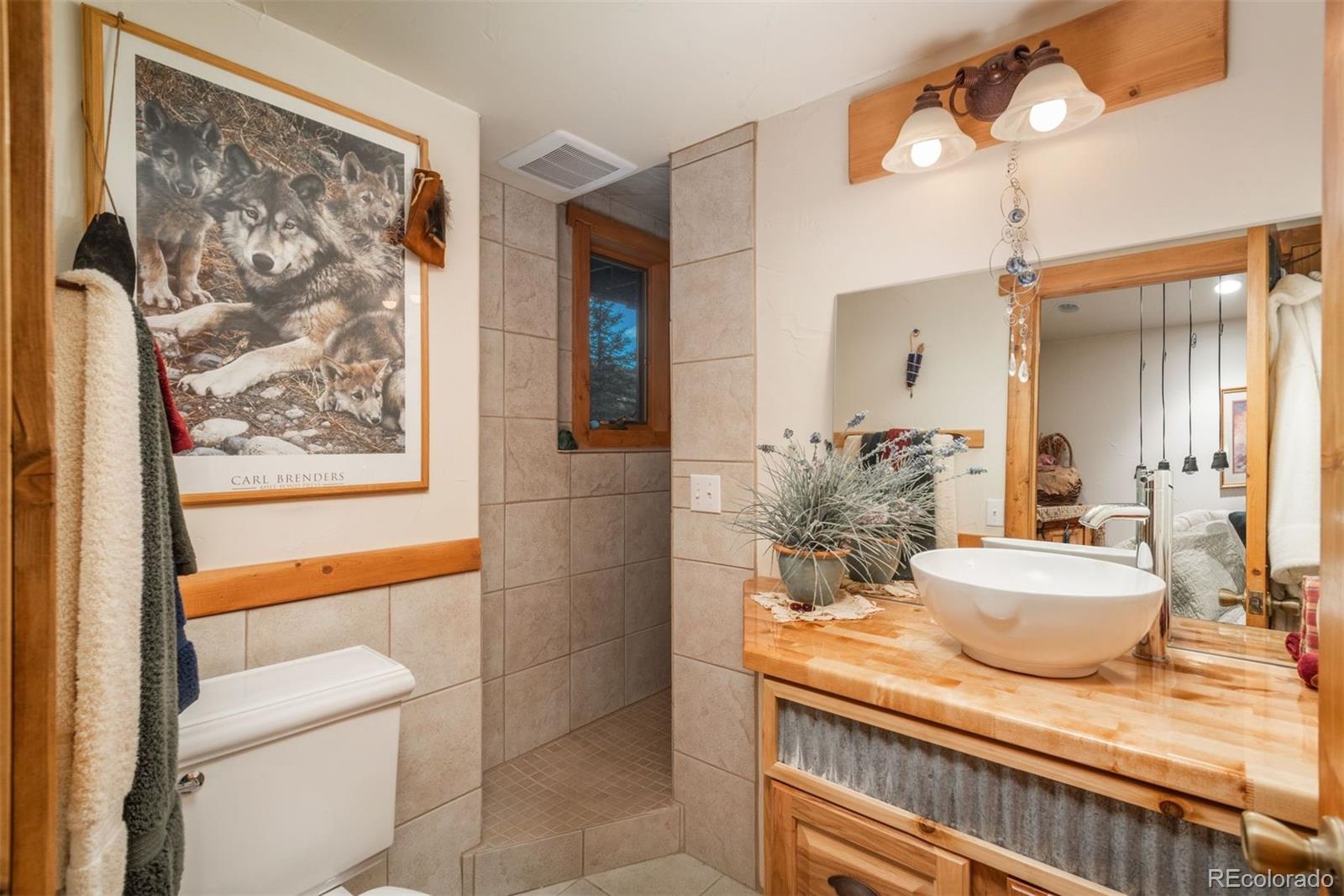 MLS Image #28 for 24151  black bear lane,conifer, Colorado