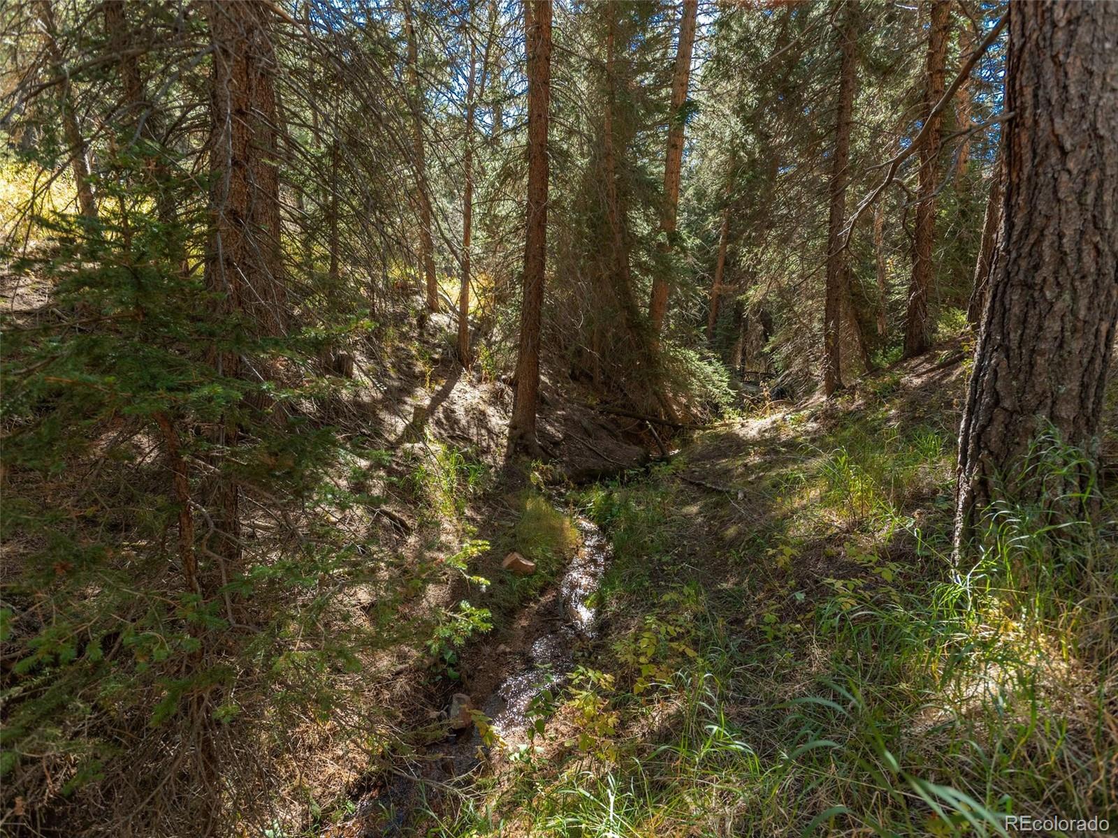 MLS Image #9 for 24151  black bear lane,conifer, Colorado