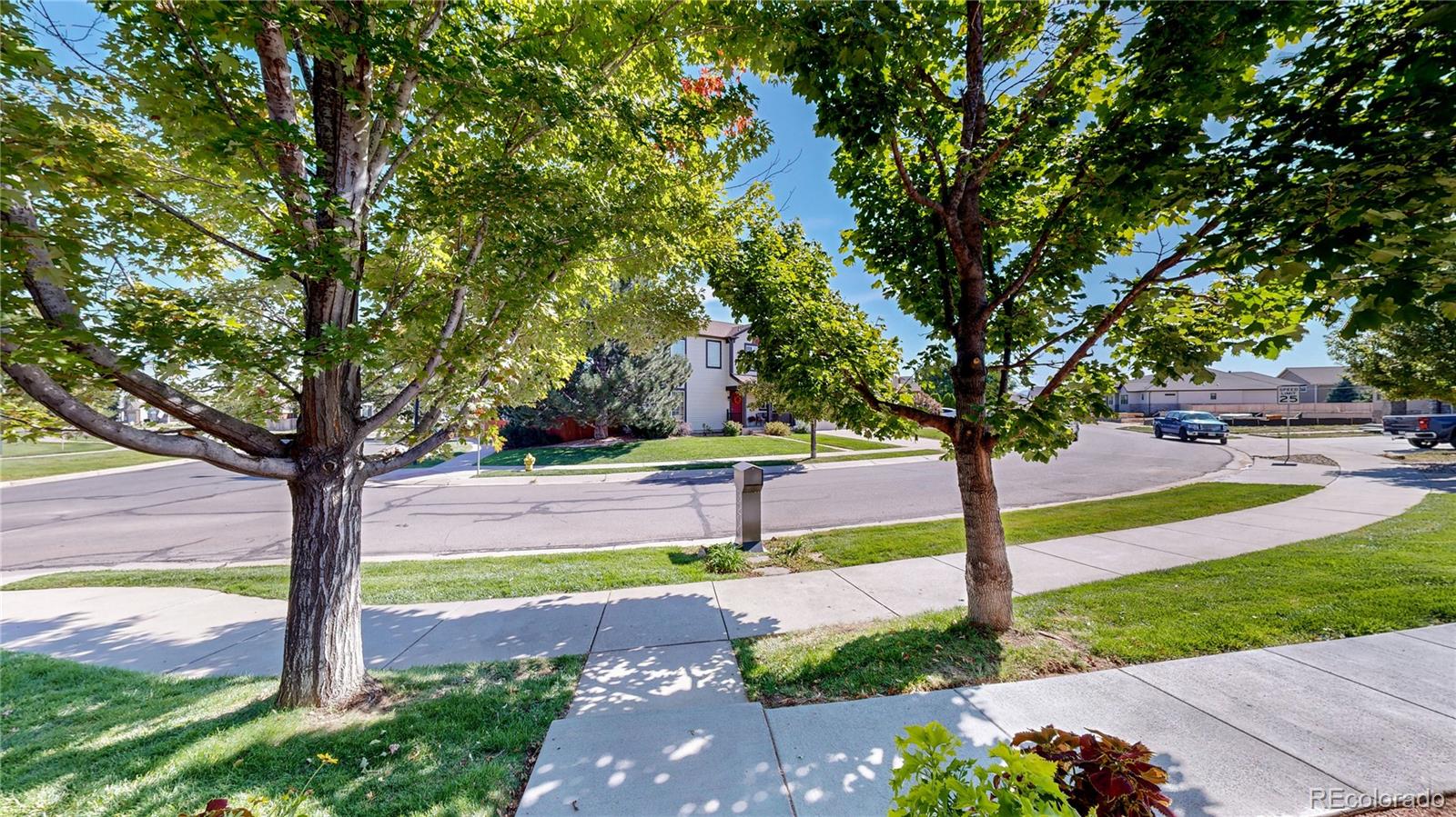 MLS Image #30 for 3299 s newcombe street,lakewood, Colorado