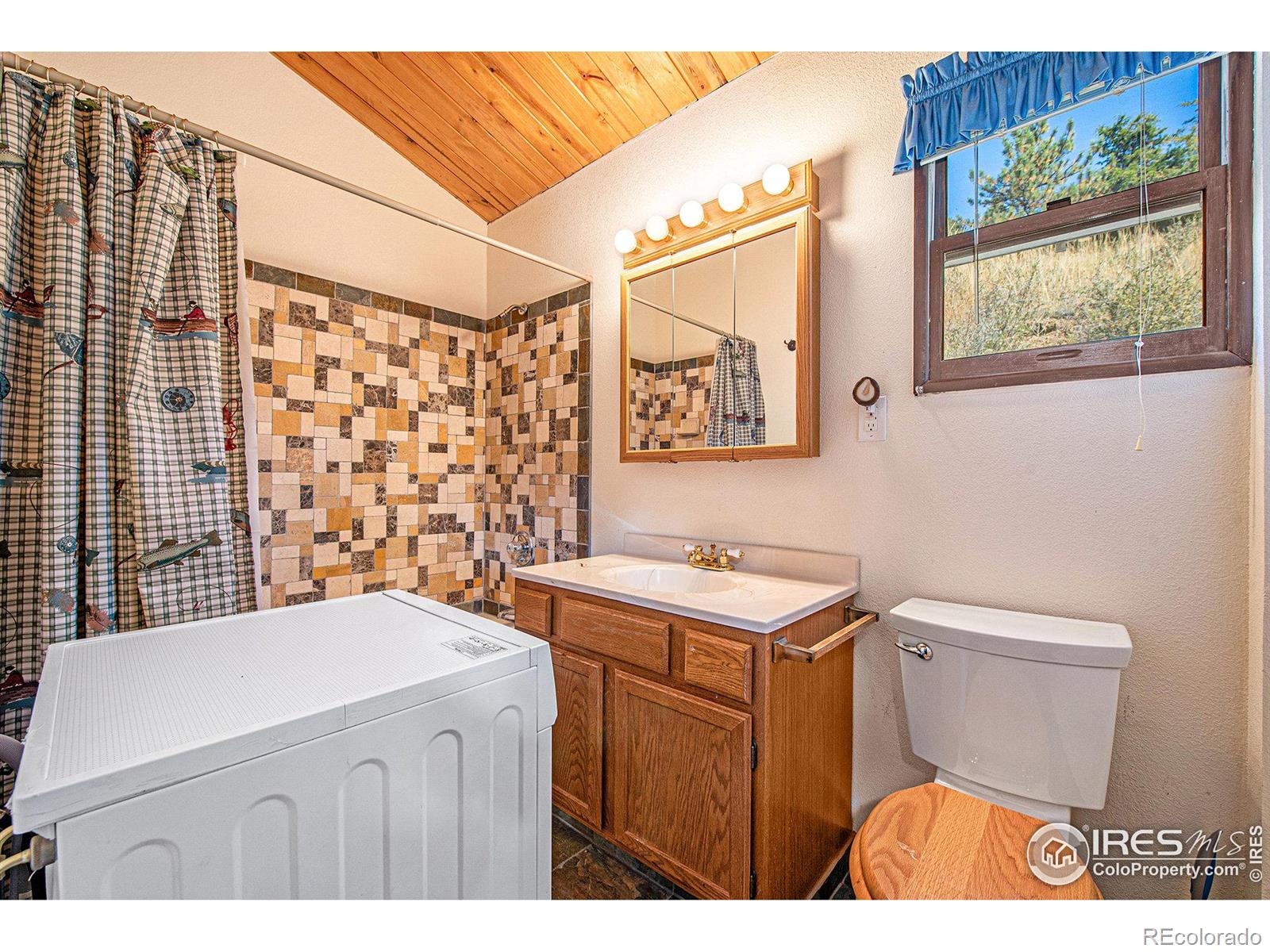 MLS Image #12 for 262  elkridge drive,glen haven, Colorado