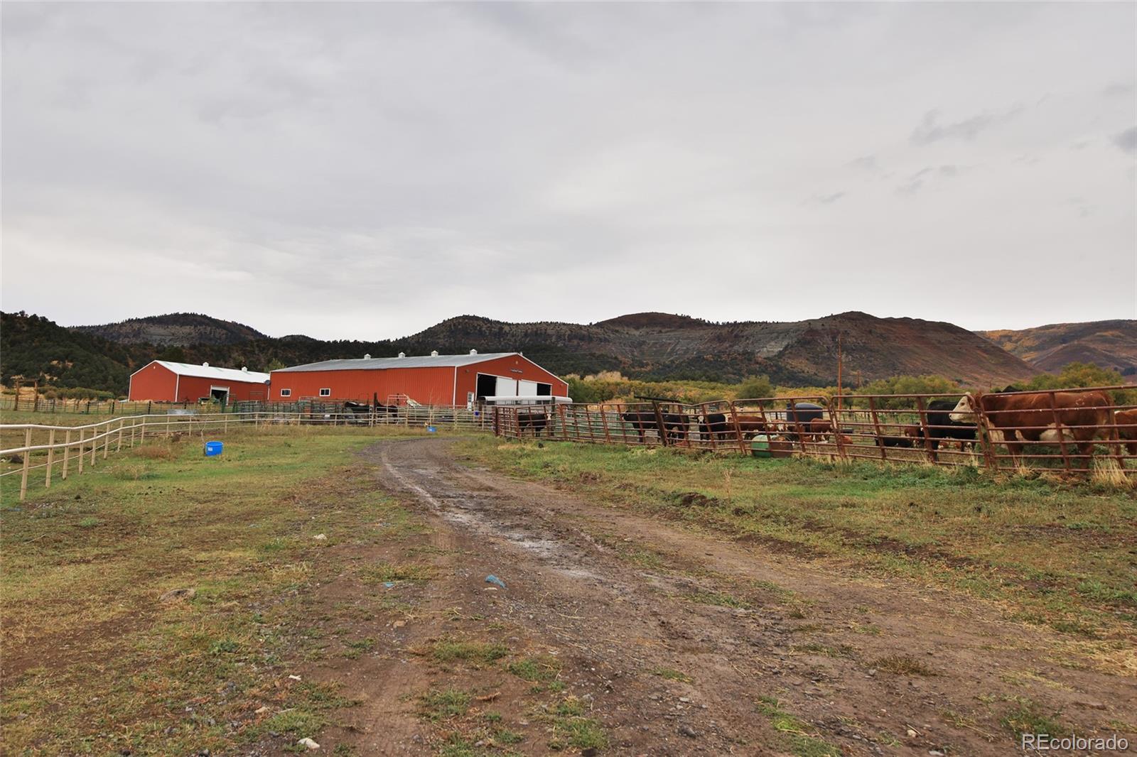 MLS Image #25 for 19561  kimball creek road,collbran, Colorado