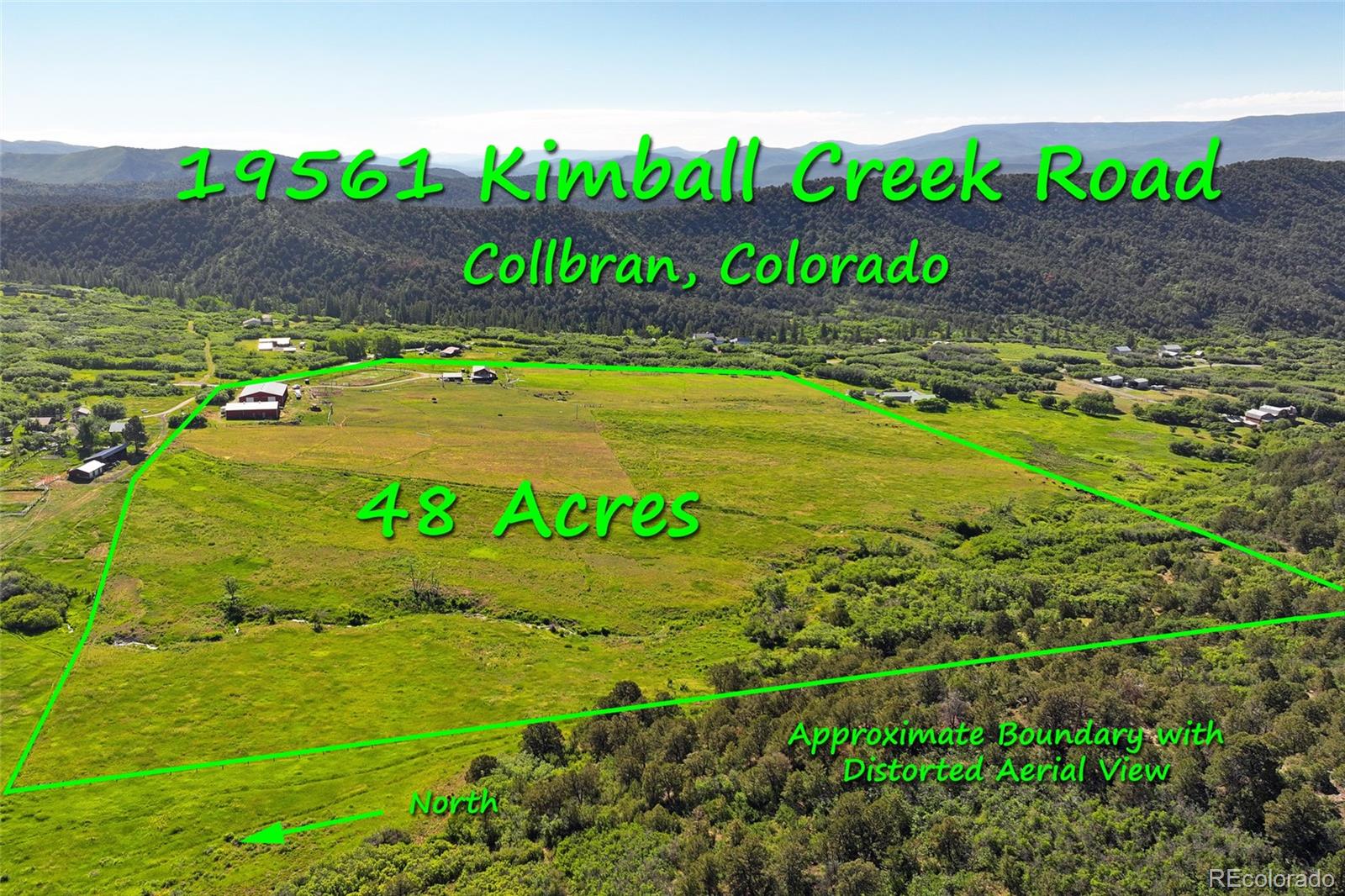 MLS Image #3 for 19561  kimball creek road,collbran, Colorado