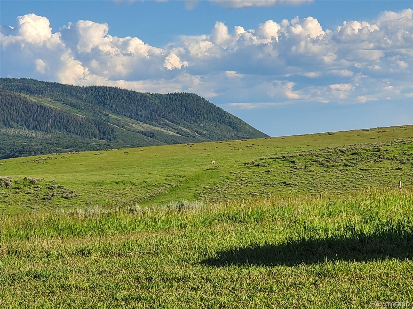 MLS Image #36 for 22320  county road 52e ,steamboat springs, Colorado
