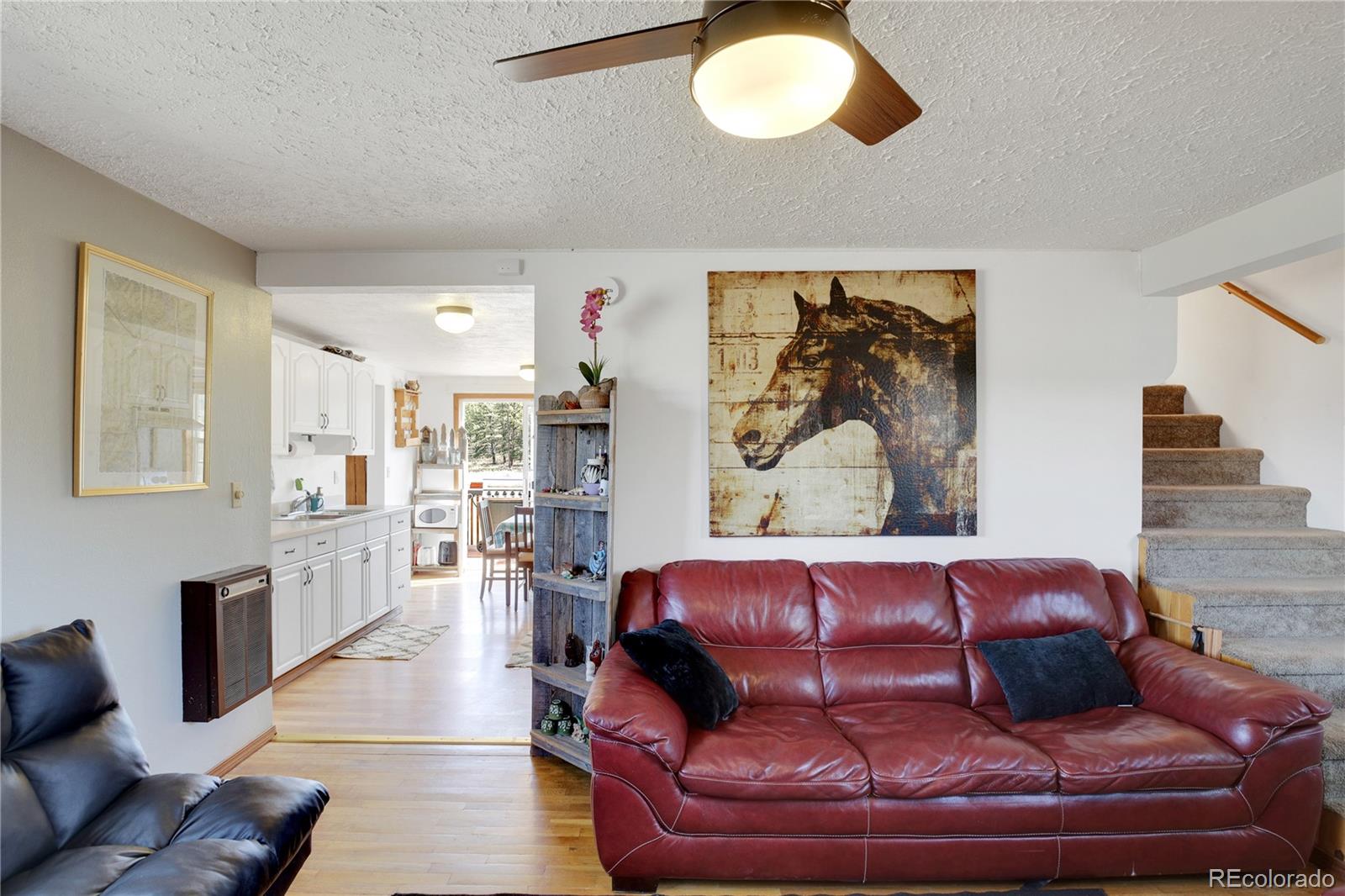 MLS Image #16 for 29474  county road 77 ,lake george, Colorado