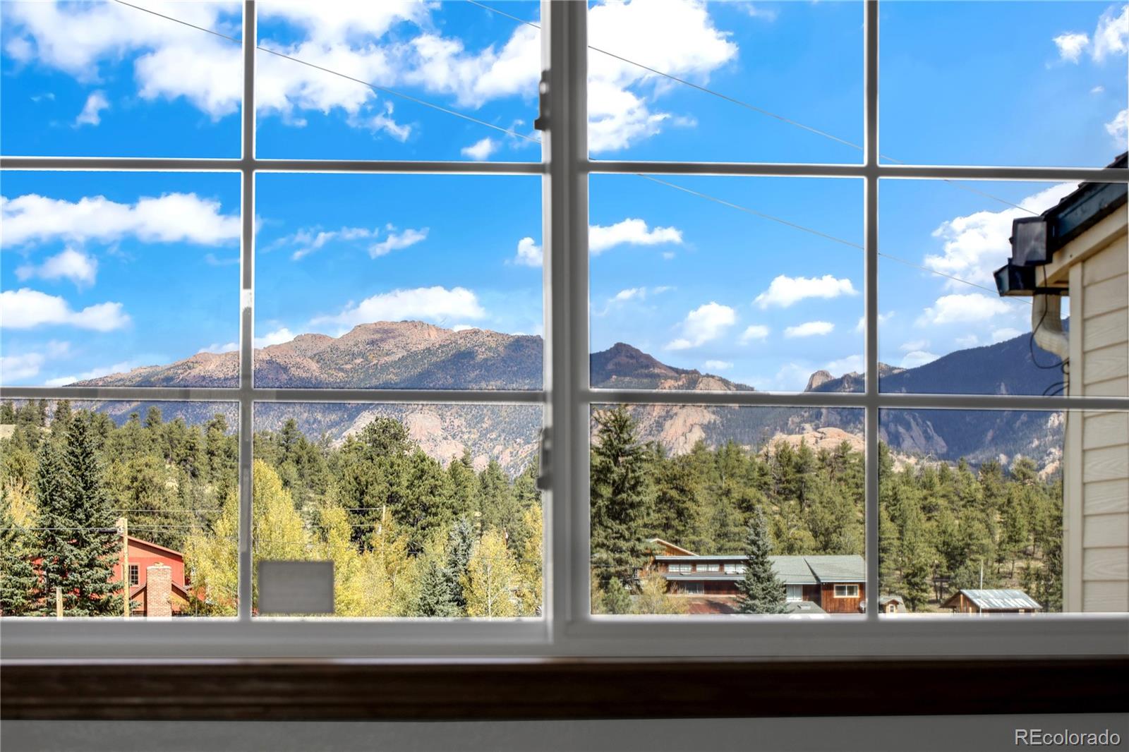 MLS Image #22 for 29474  county road 77 ,lake george, Colorado