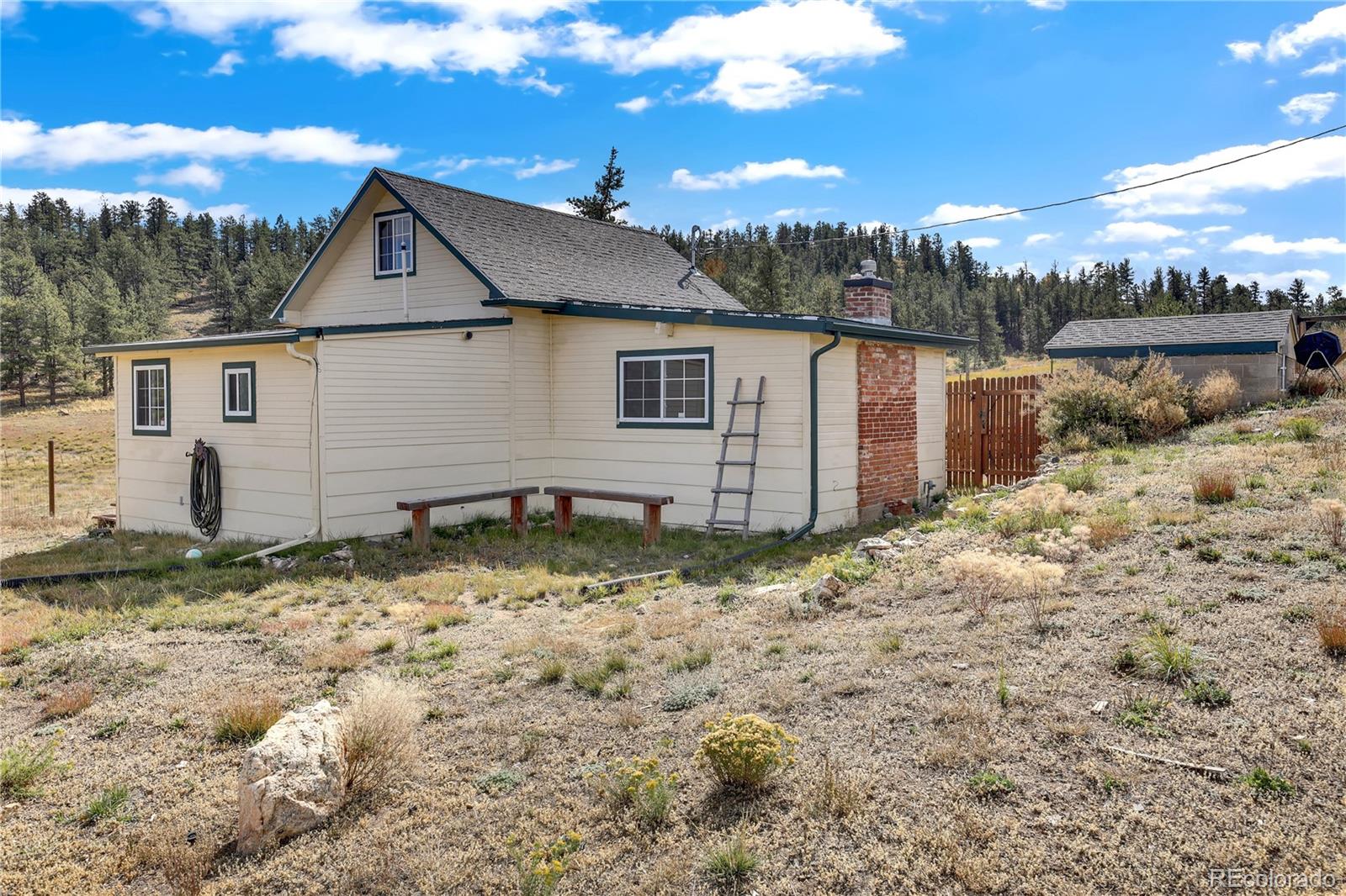 MLS Image #24 for 29474  county road 77 ,lake george, Colorado