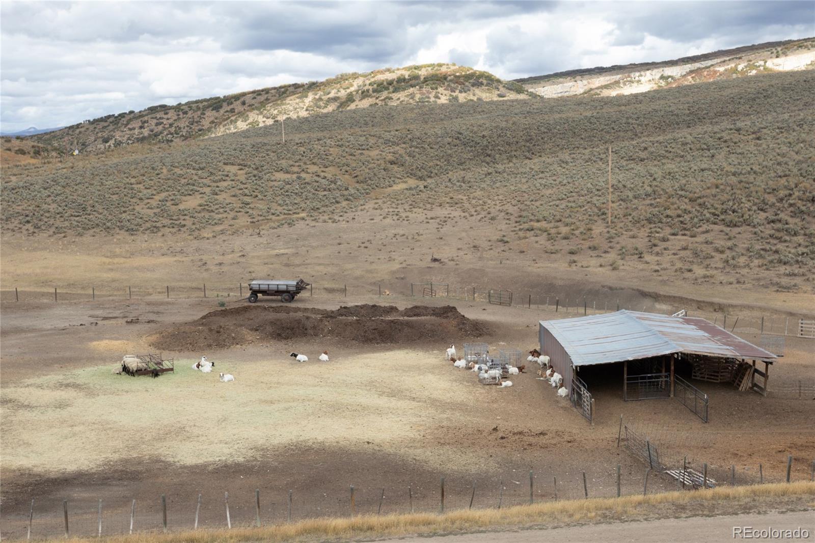 MLS Image #19 for 36180  county road 27 ,hayden, Colorado