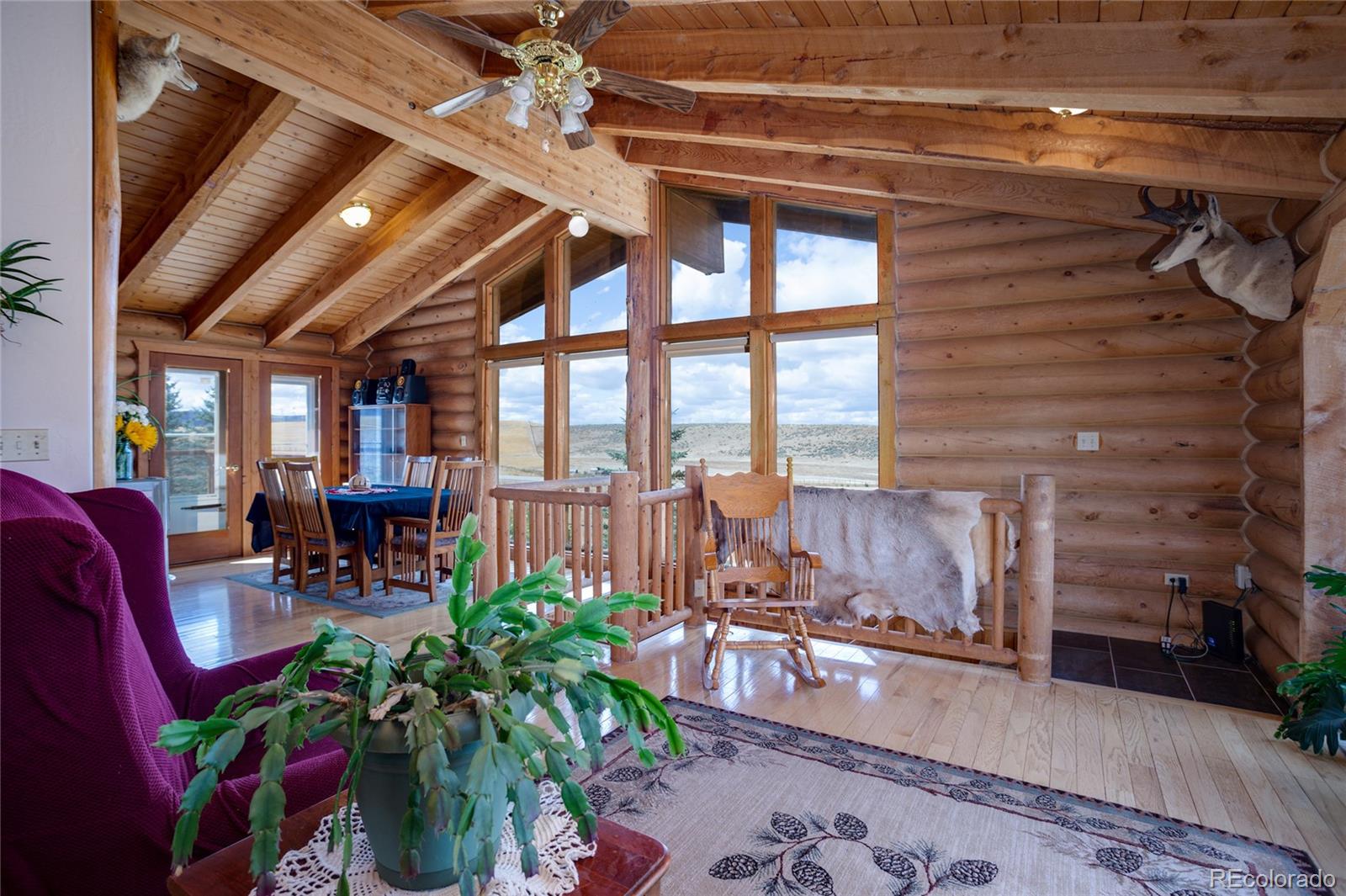 MLS Image #5 for 36180  county road 27 ,hayden, Colorado