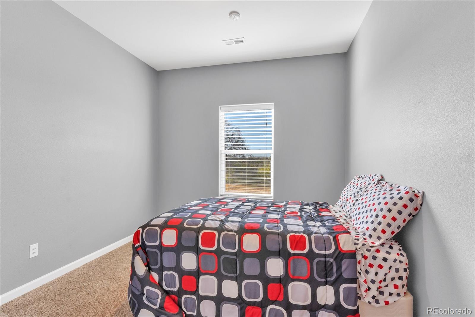 MLS Image #12 for 6040  big sky drive,rye, Colorado