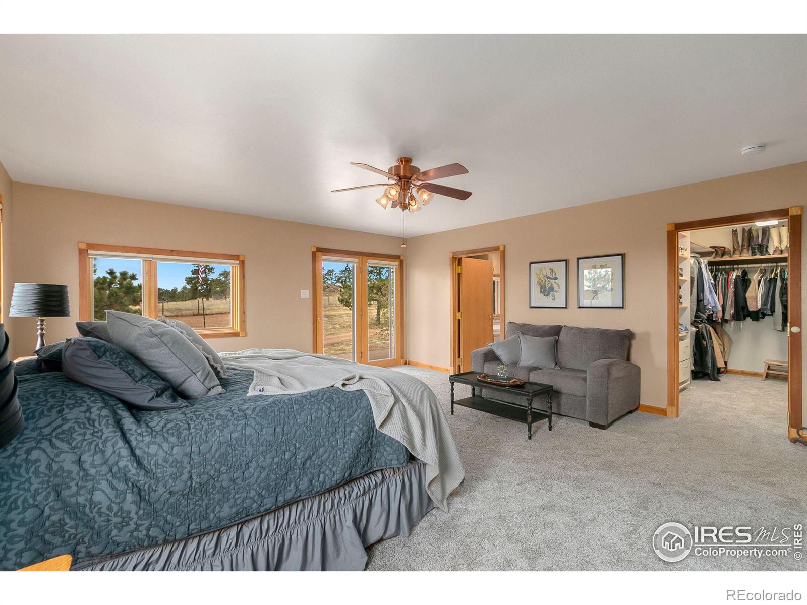 MLS Image #18 for 9512  red mountain road,livermore, Colorado