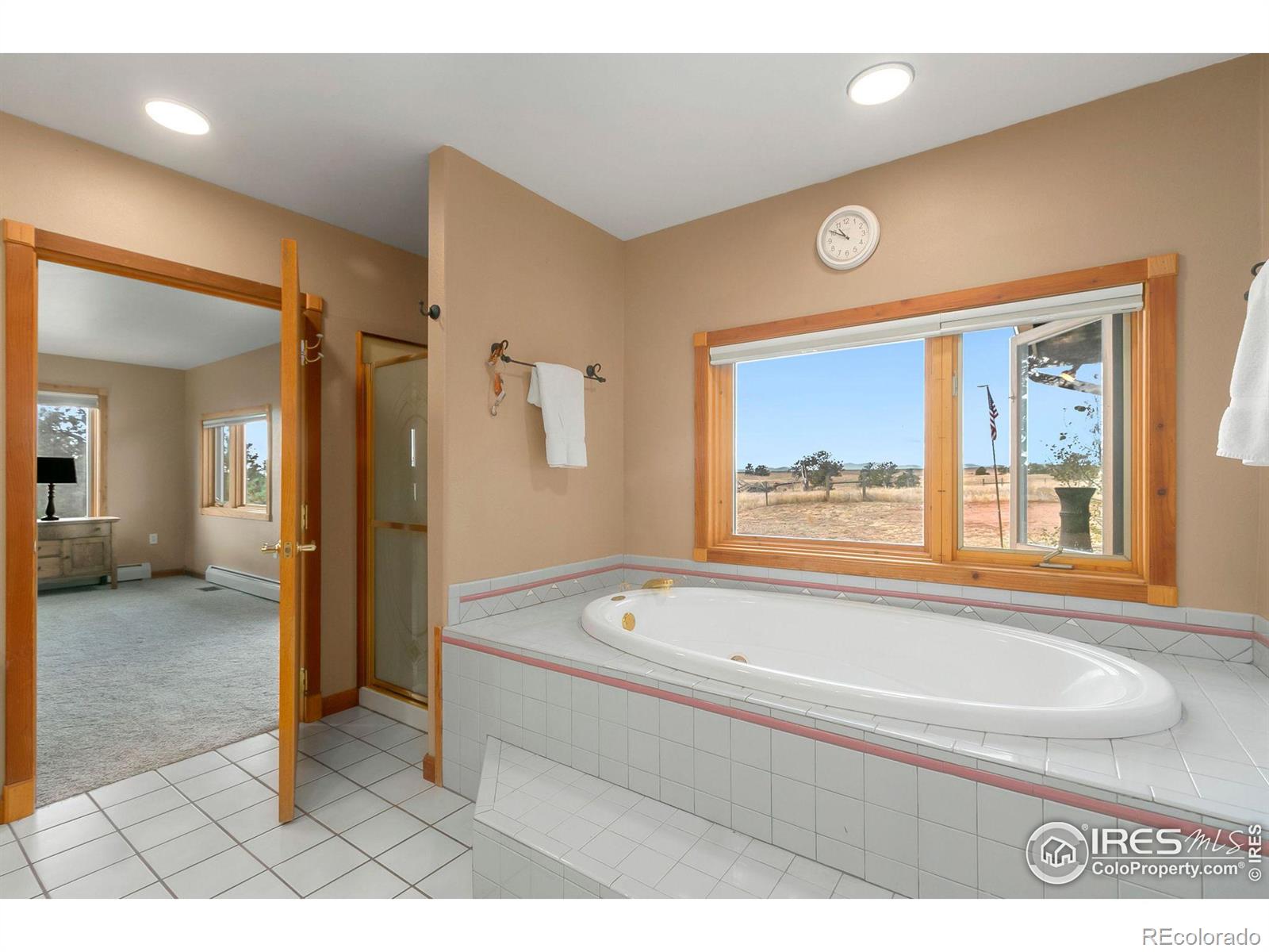 MLS Image #21 for 9512  red mountain road,livermore, Colorado