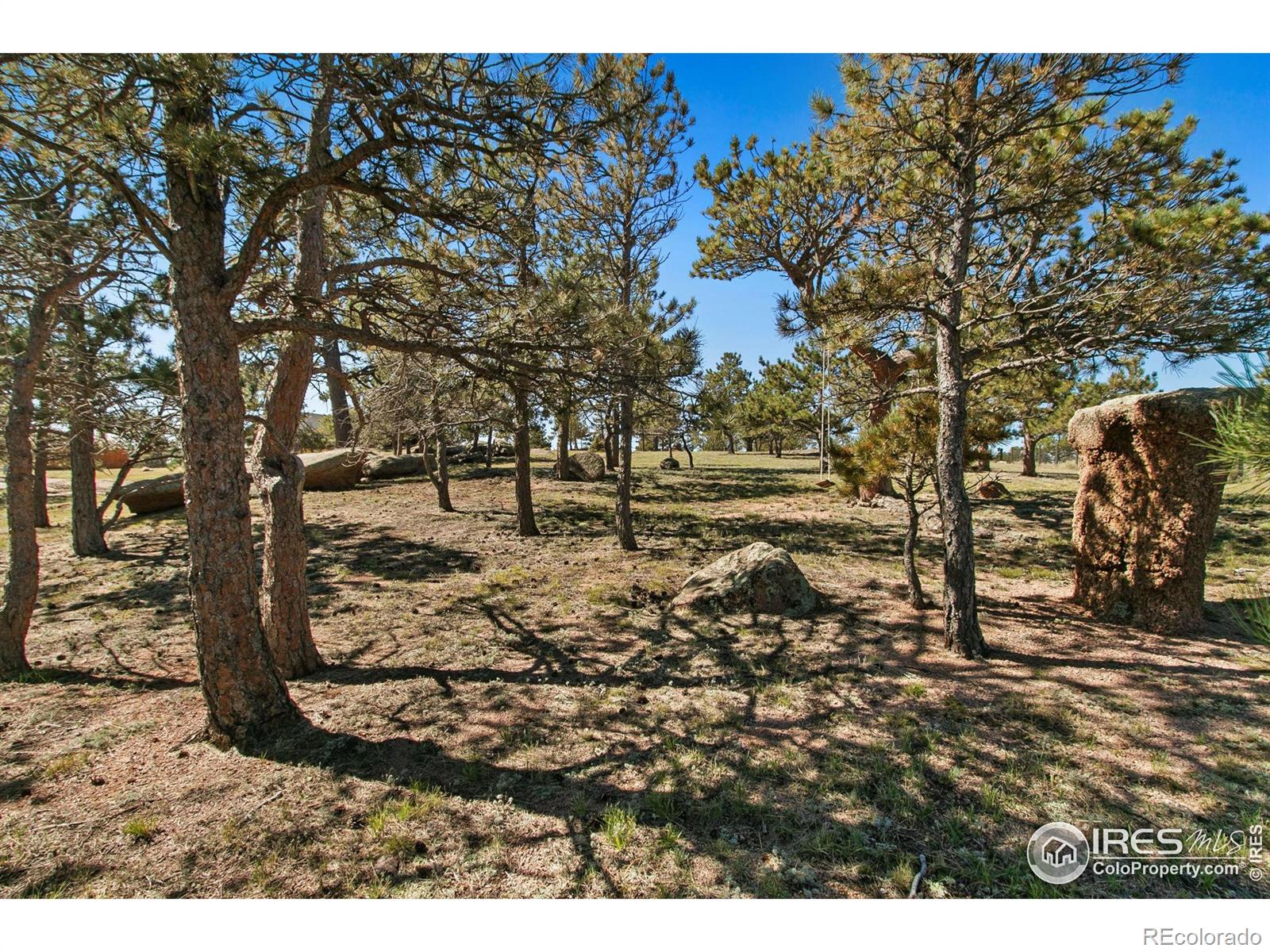 MLS Image #6 for 9512  red mountain road,livermore, Colorado