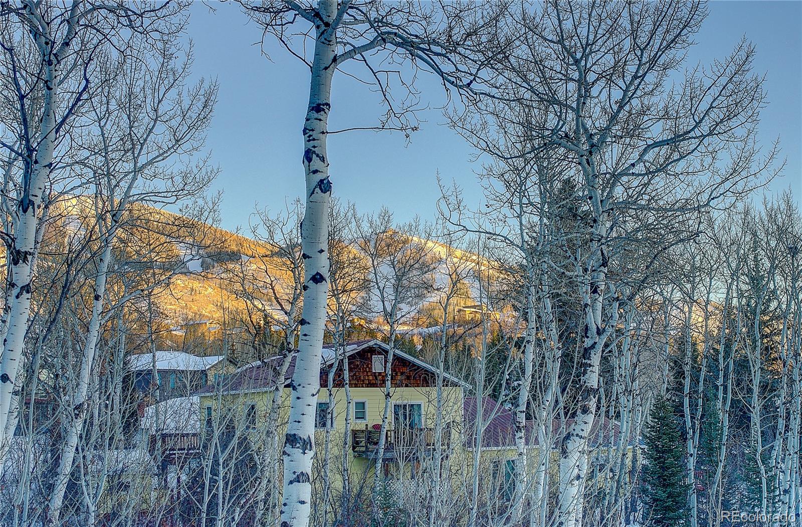 MLS Image #12 for 1520  harwig circle,steamboat springs, Colorado