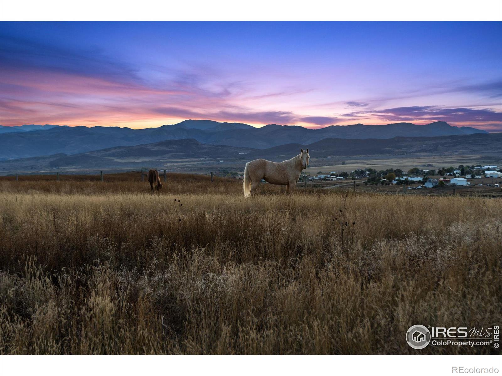 MLS Image #7 for 7389  douglass lake ranch road,fort collins, Colorado