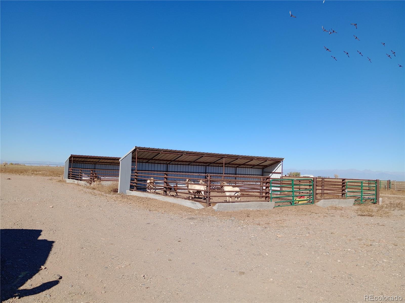 MLS Image #42 for 4455 w co road 7 ,monte vista, Colorado