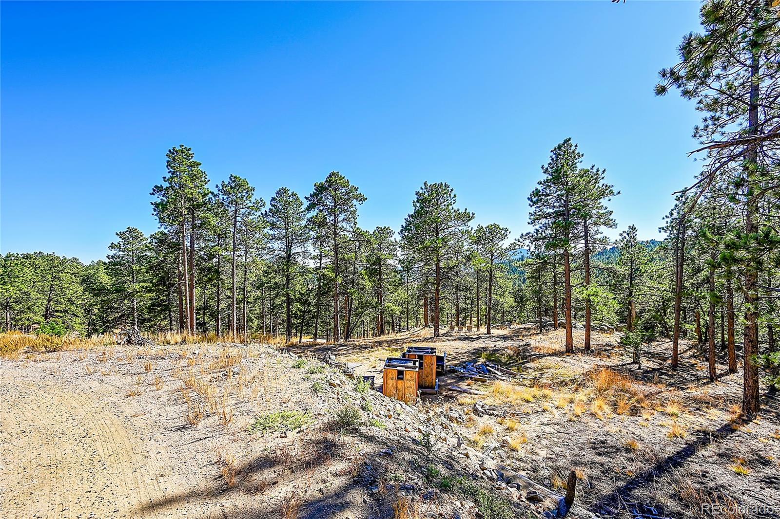 MLS Image #10 for 24929 n mountain park drive,evergreen, Colorado