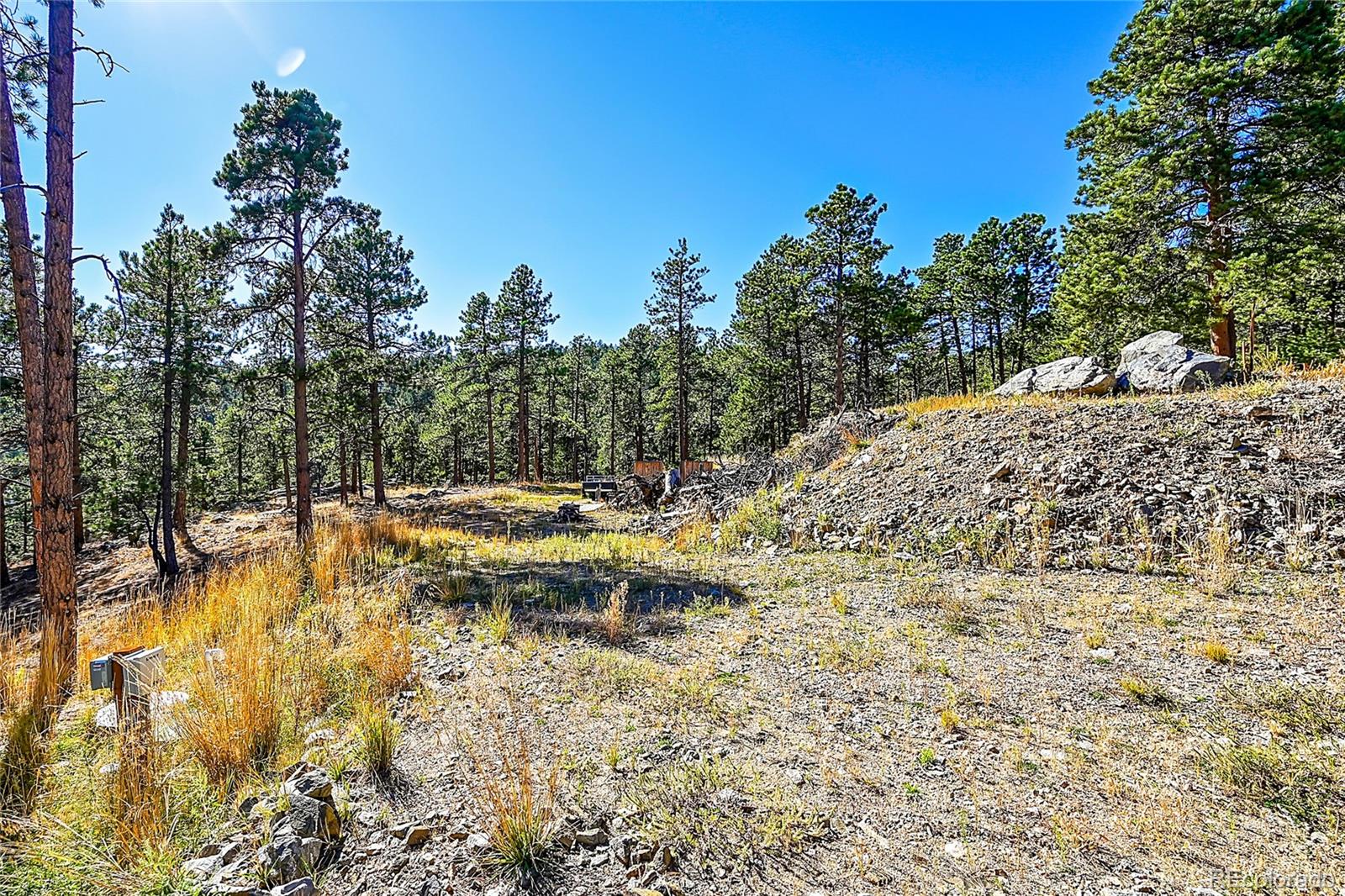 MLS Image #12 for 24929 n mountain park drive,evergreen, Colorado