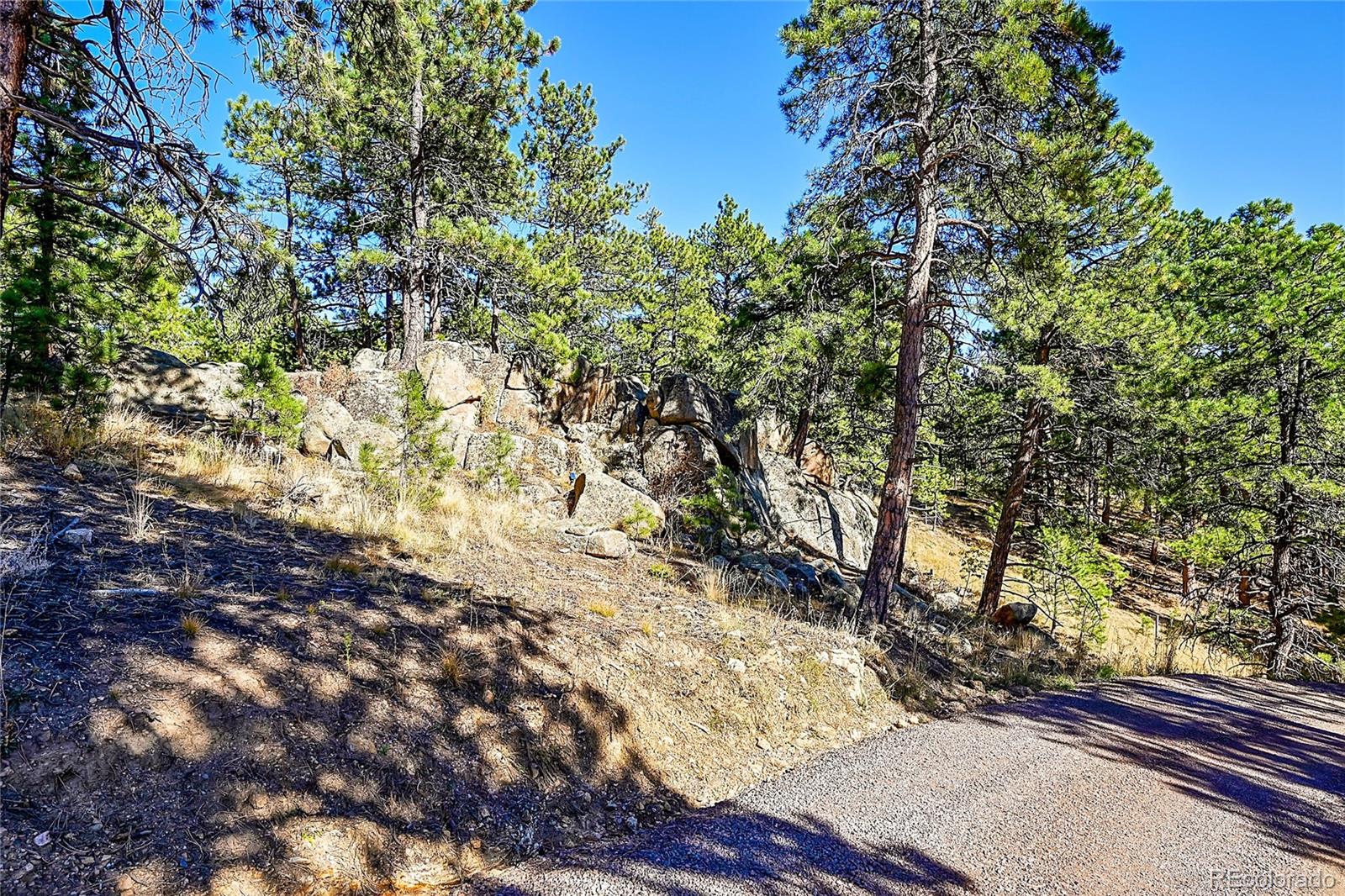 MLS Image #14 for 24929 n mountain park drive,evergreen, Colorado