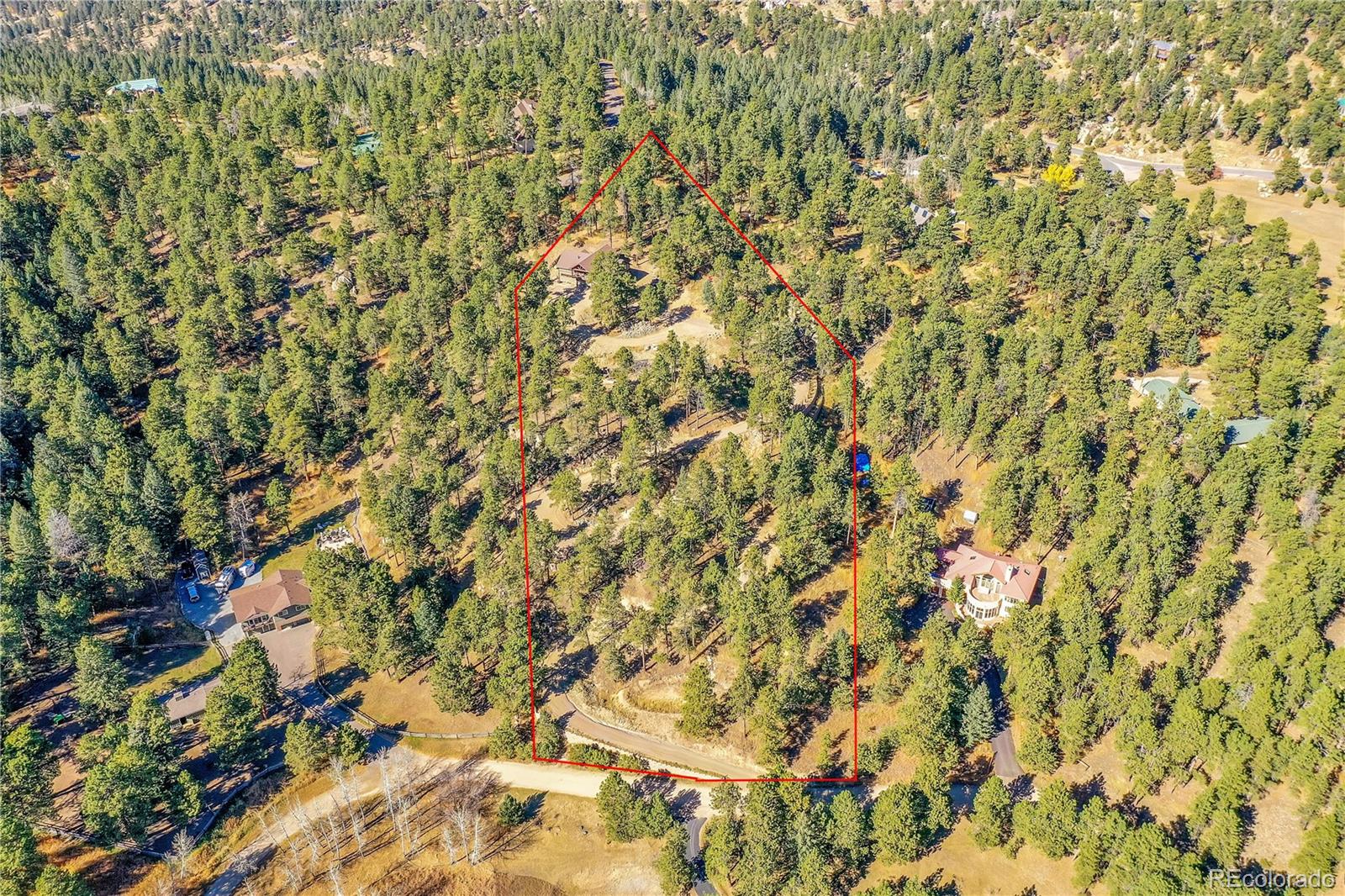 MLS Image #6 for 24929 n mountain park drive,evergreen, Colorado