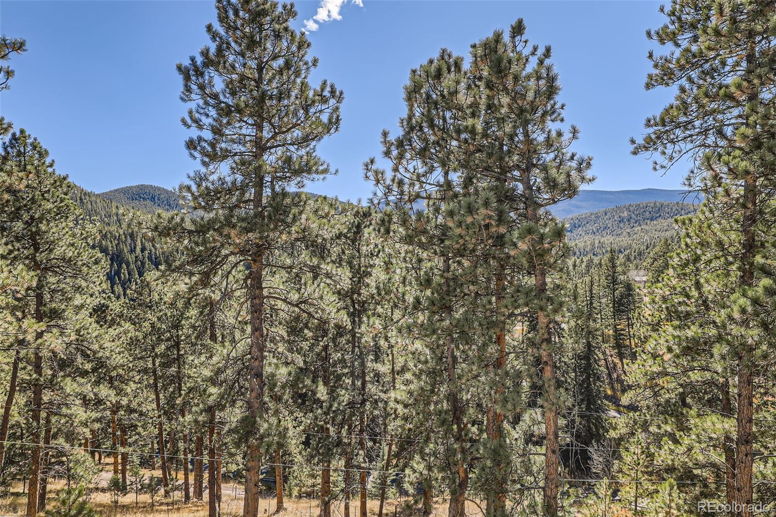 MLS Image #17 for 31874  ponderosa way,evergreen, Colorado