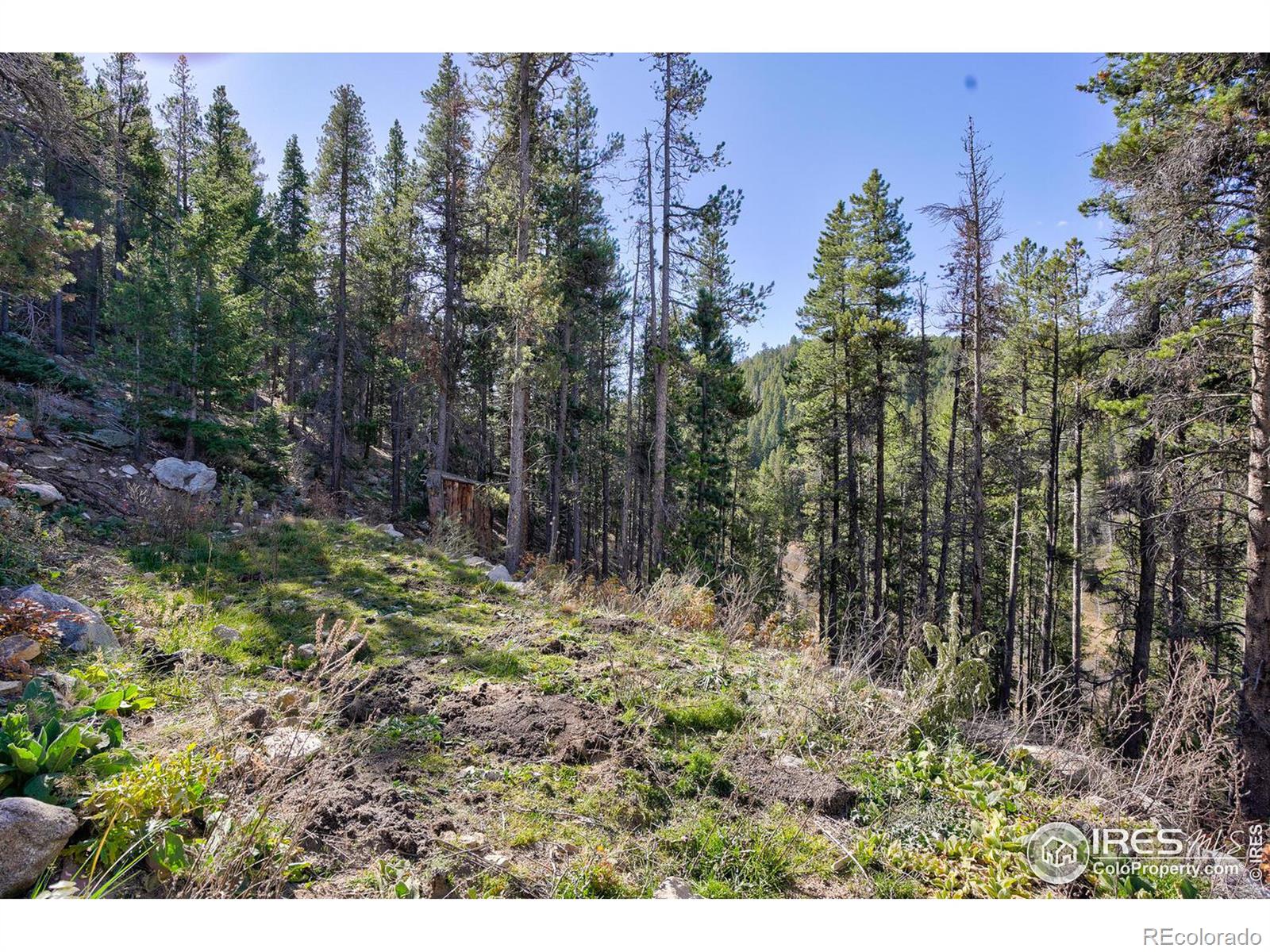 MLS Image #25 for 400  sunflower drive,black hawk, Colorado