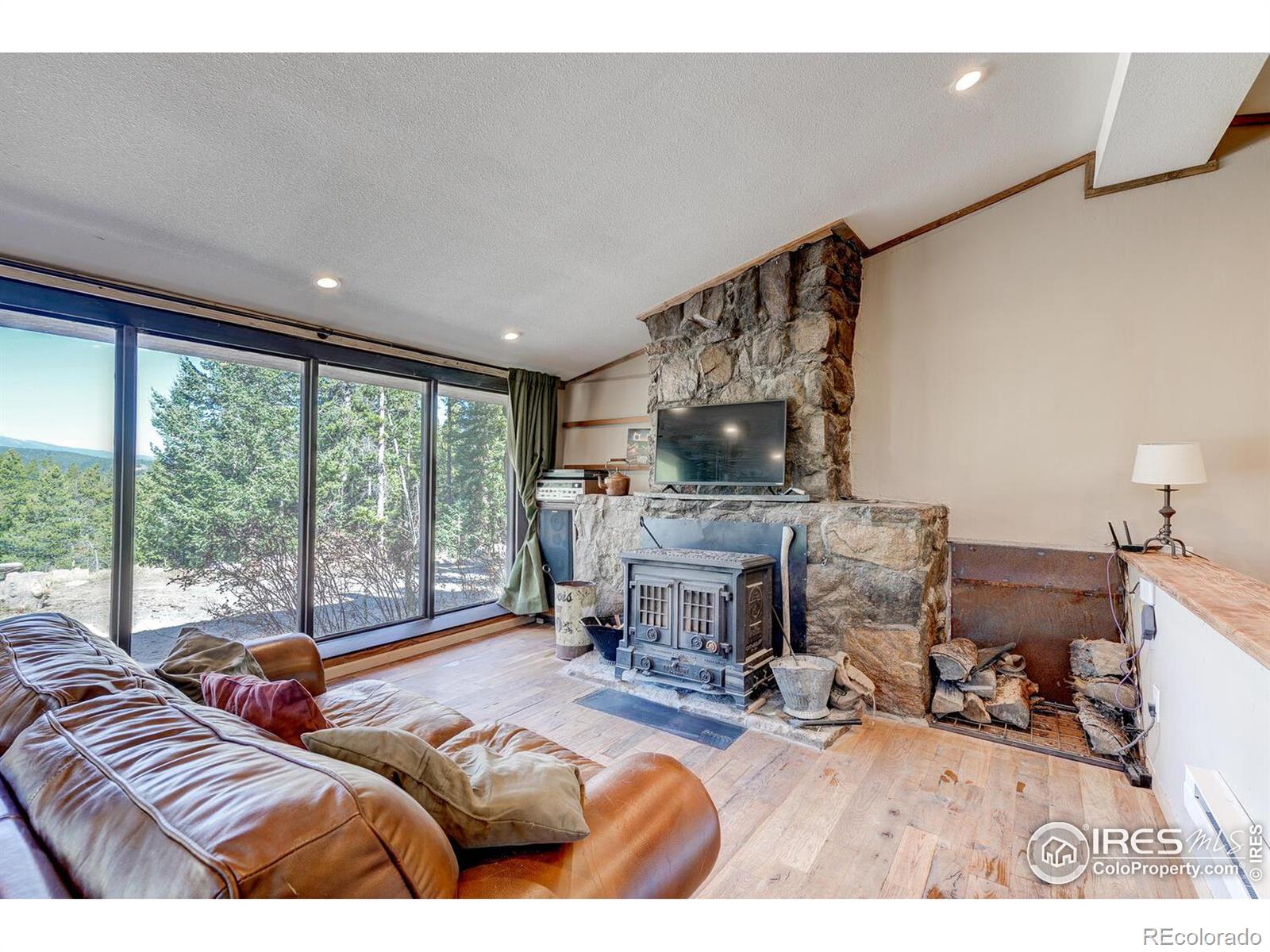 MLS Image #3 for 400  sunflower drive,black hawk, Colorado