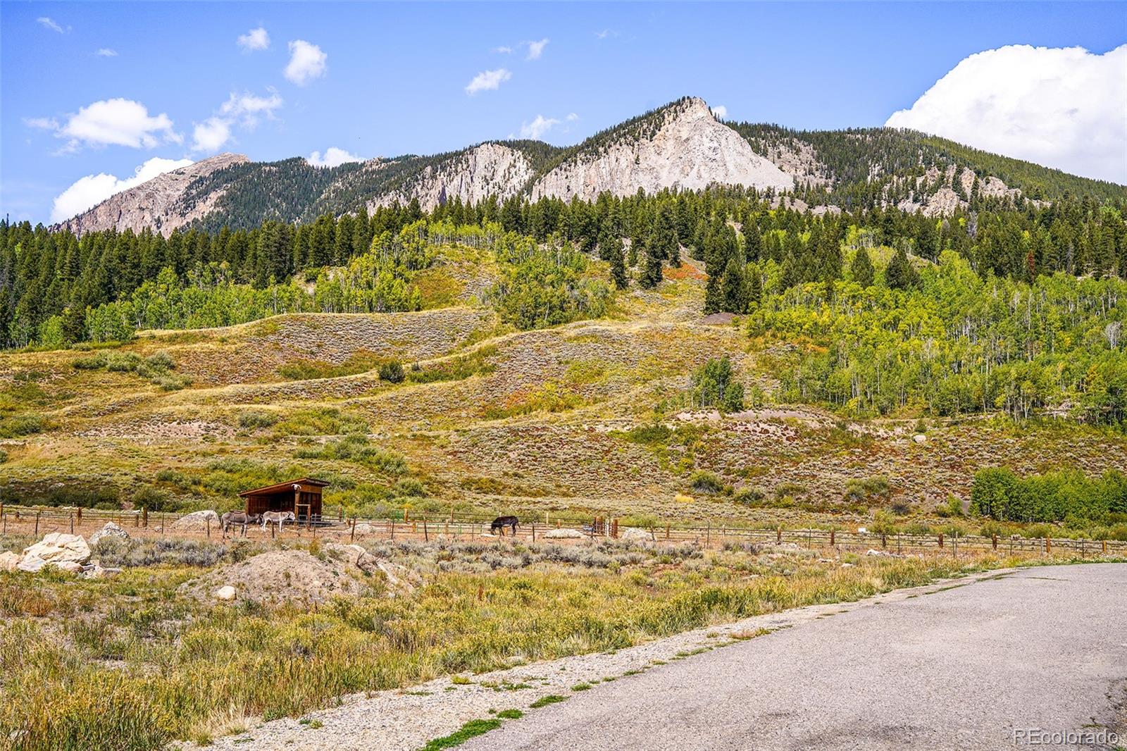 MLS Image #23 for 42  earhart lane,crested butte, Colorado