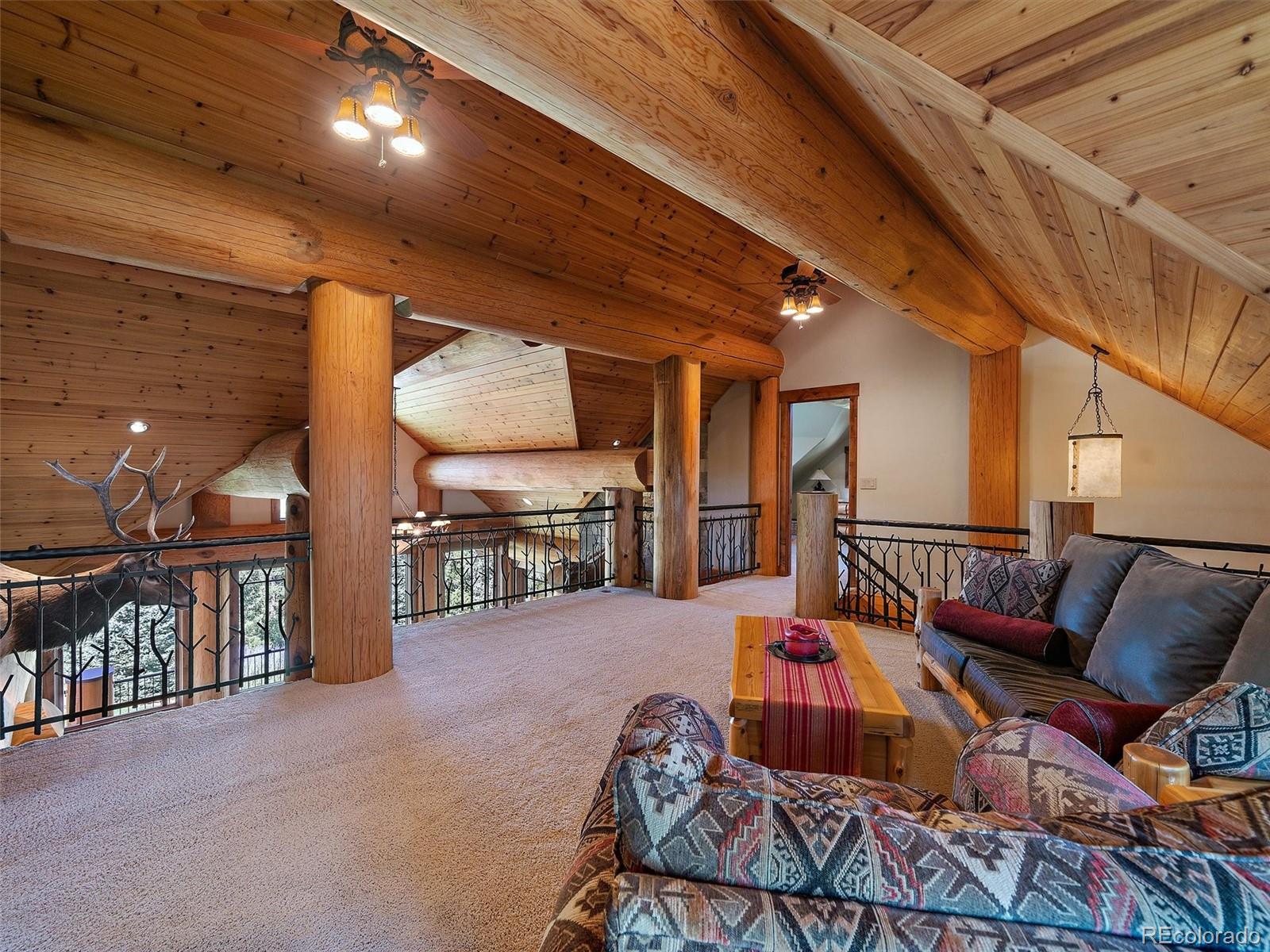 MLS Image #11 for 451  bear meadow trail,evergreen, Colorado