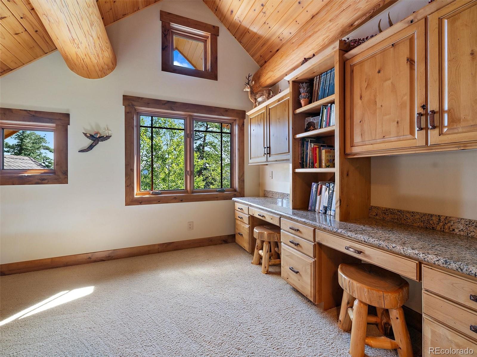 MLS Image #13 for 451  bear meadow trail,evergreen, Colorado