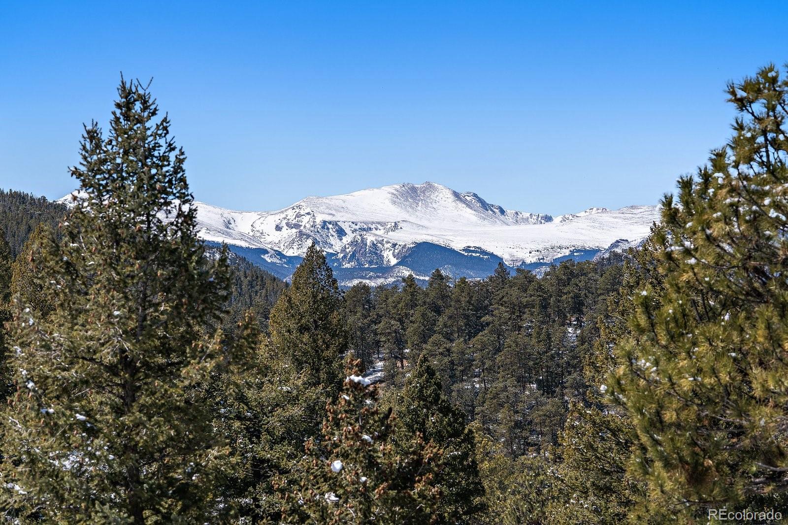 MLS Image #4 for 451  bear meadow trail,evergreen, Colorado