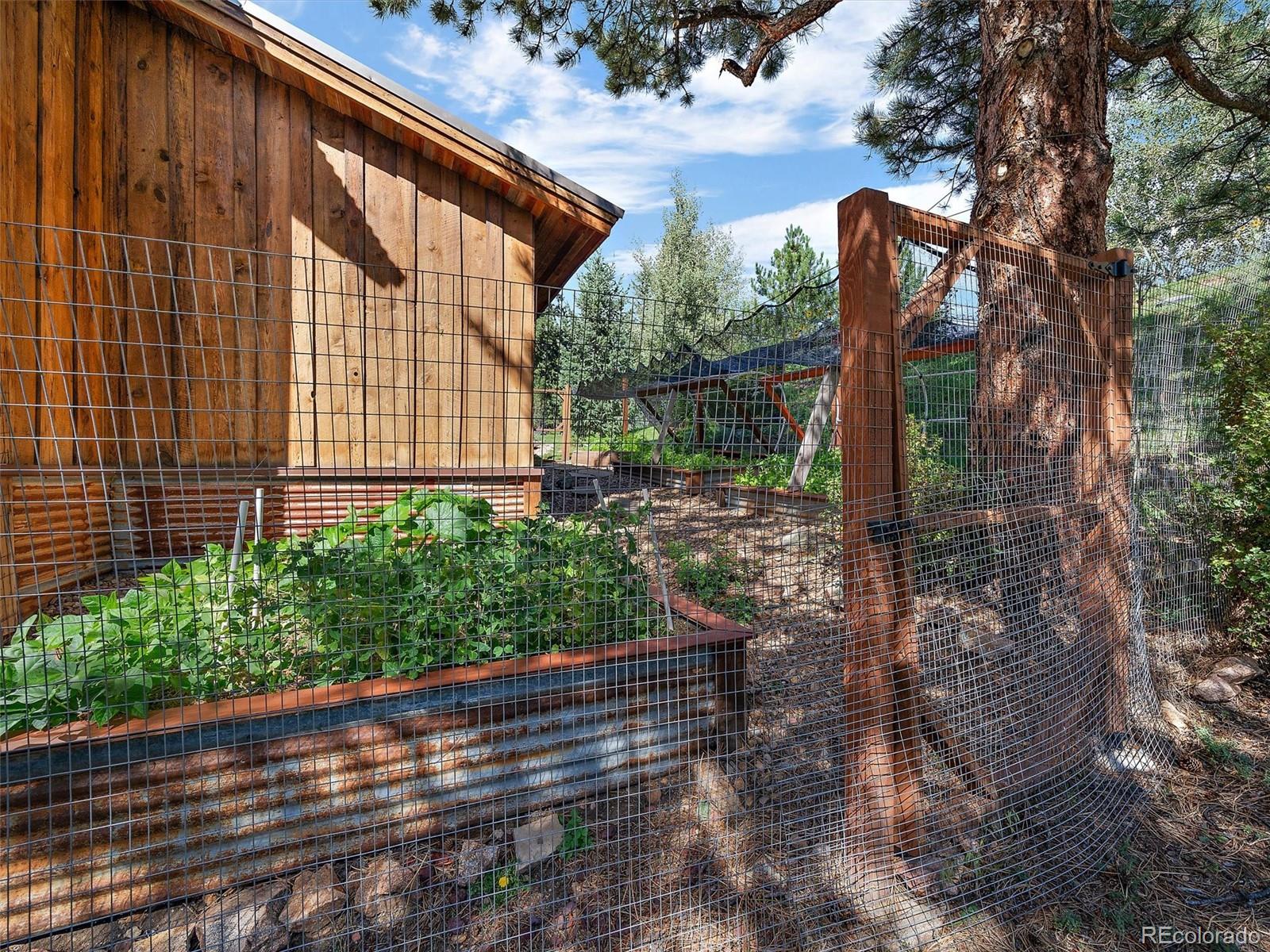 MLS Image #40 for 451  bear meadow trail,evergreen, Colorado