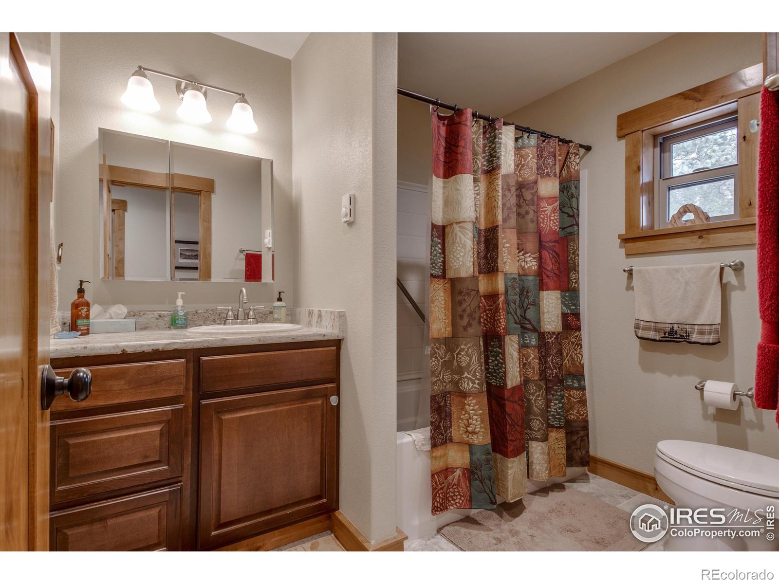 MLS Image #13 for 6162  ottawa way,red feather lakes, Colorado