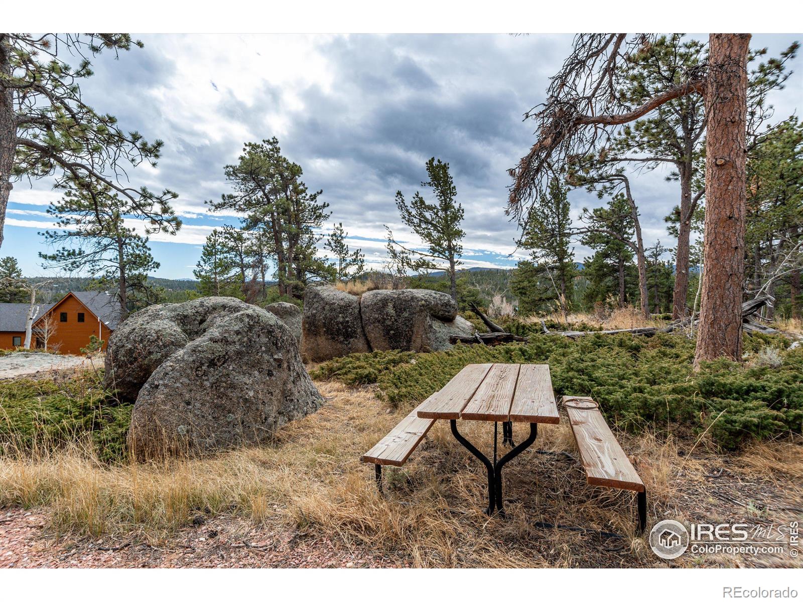 MLS Image #16 for 6162  ottawa way,red feather lakes, Colorado
