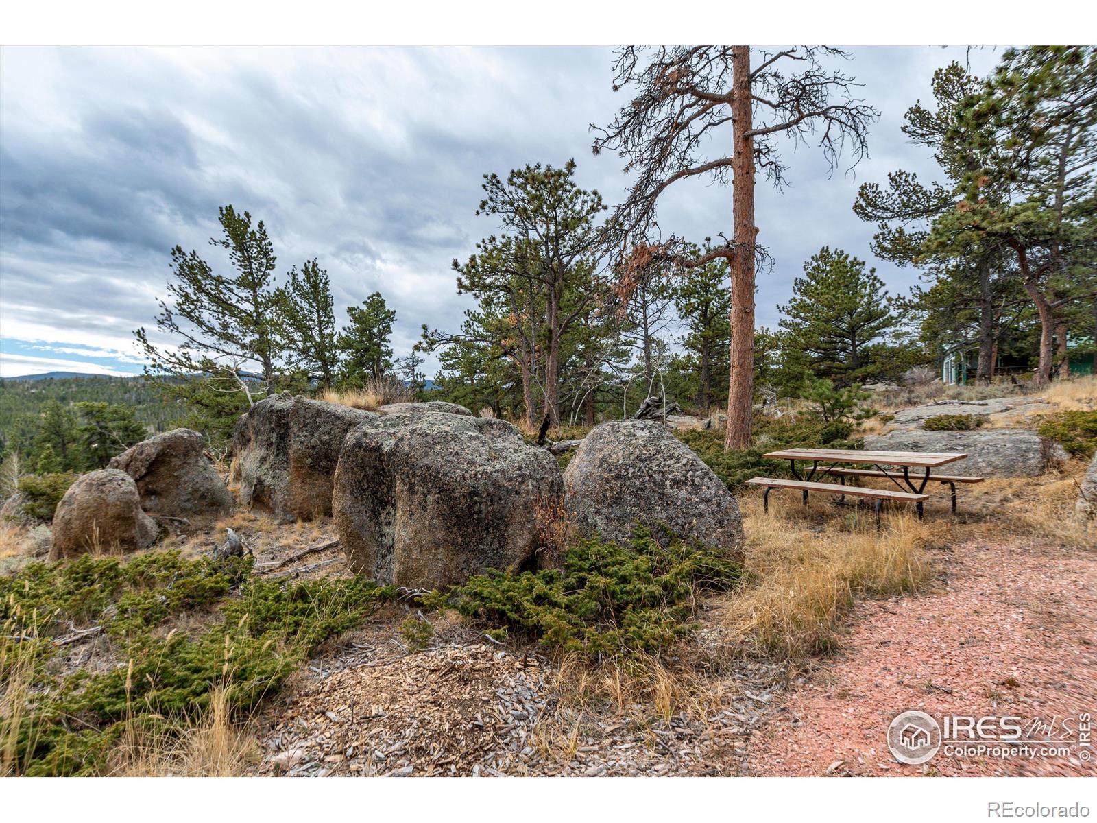 MLS Image #17 for 6162  ottawa way,red feather lakes, Colorado