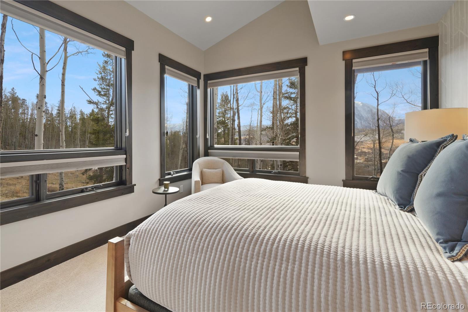 MLS Image #22 for 63  mayfly drive,silverthorne, Colorado