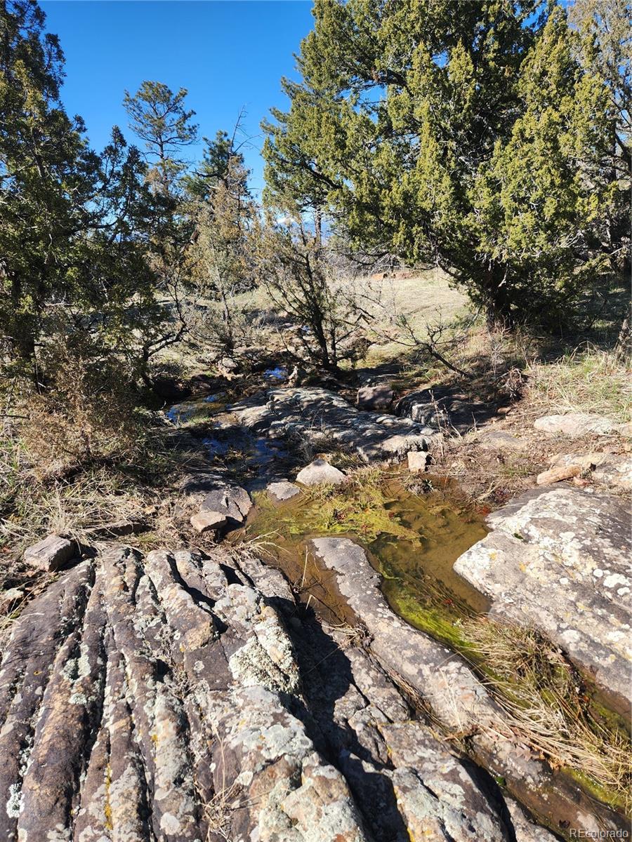 MLS Image #46 for 8782  vaughn view drive,pueblo, Colorado