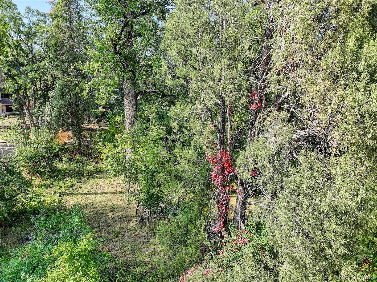 MLS Image #18 for 1604 w cheyenne road,colorado springs, Colorado