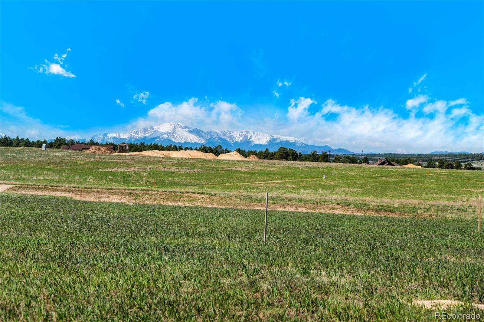 MLS Image #3 for 16990  early light drive,colorado springs, Colorado