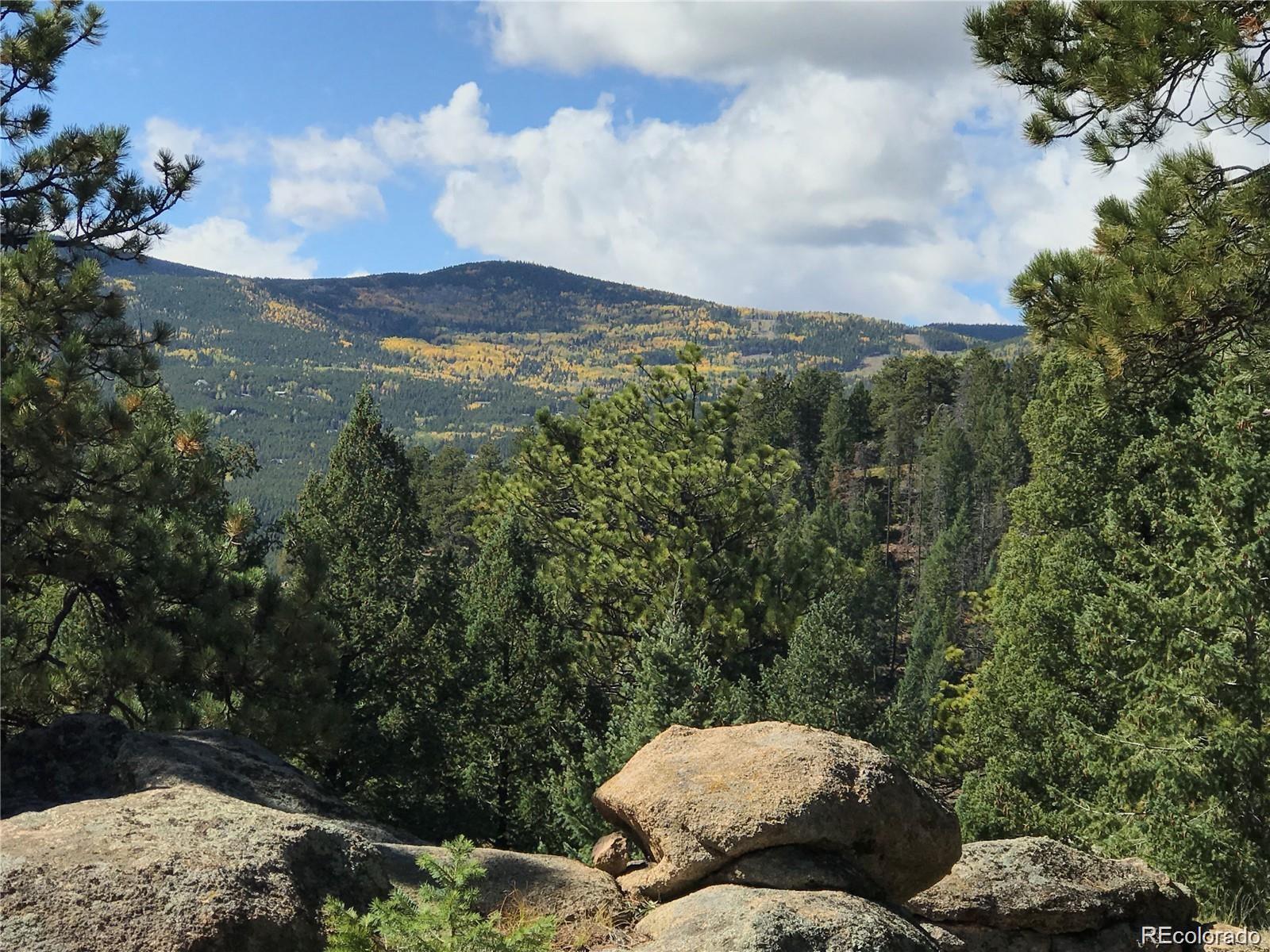 MLS Image #2 for 7251  timber trail road,evergreen, Colorado