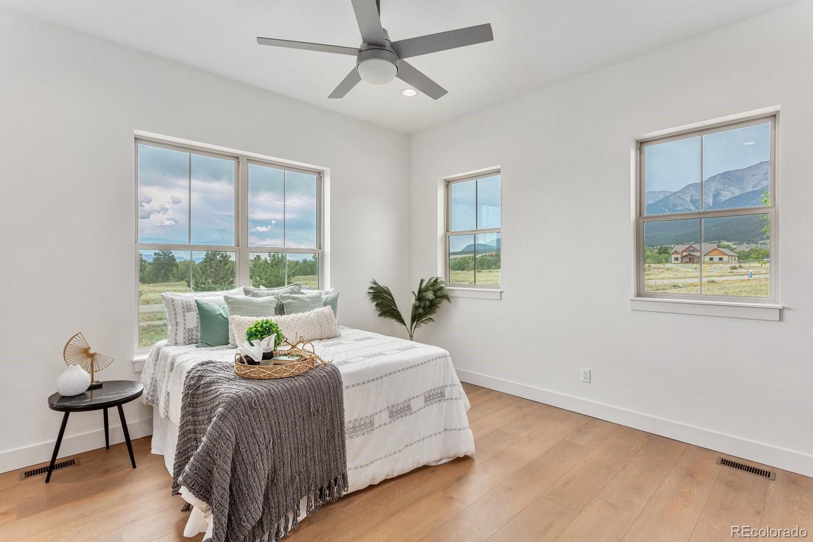 MLS Image #23 for 17448  reserve drive,buena vista, Colorado