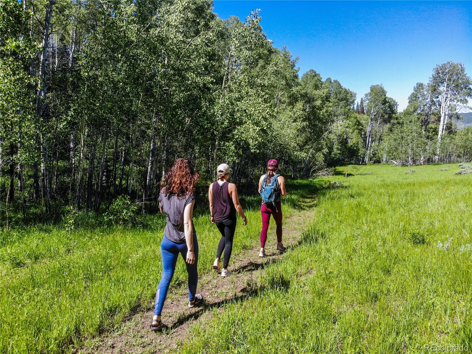 MLS Image #43 for 34280  panorama drive,steamboat springs, Colorado