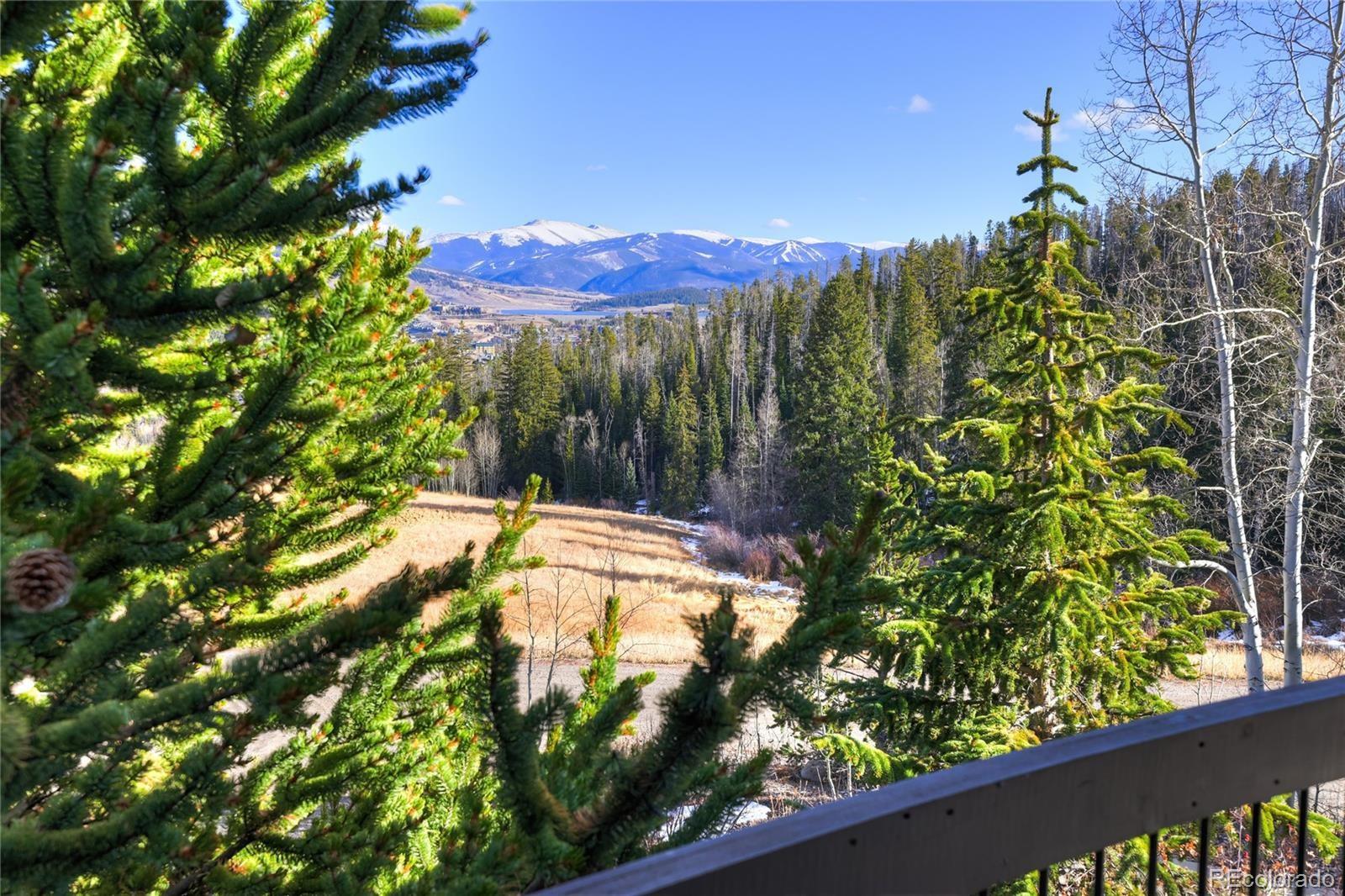 MLS Image #42 for 348  jade road,silverthorne, Colorado