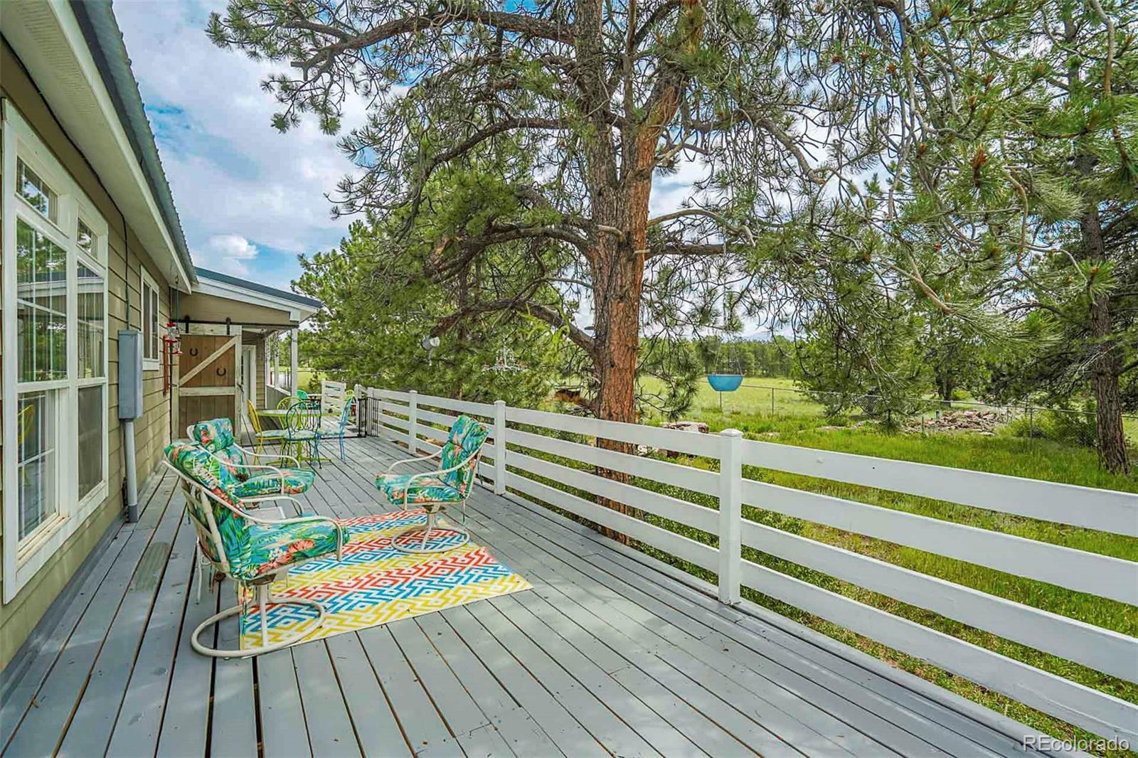 MLS Image #33 for 1190  doe valley road,guffey, Colorado