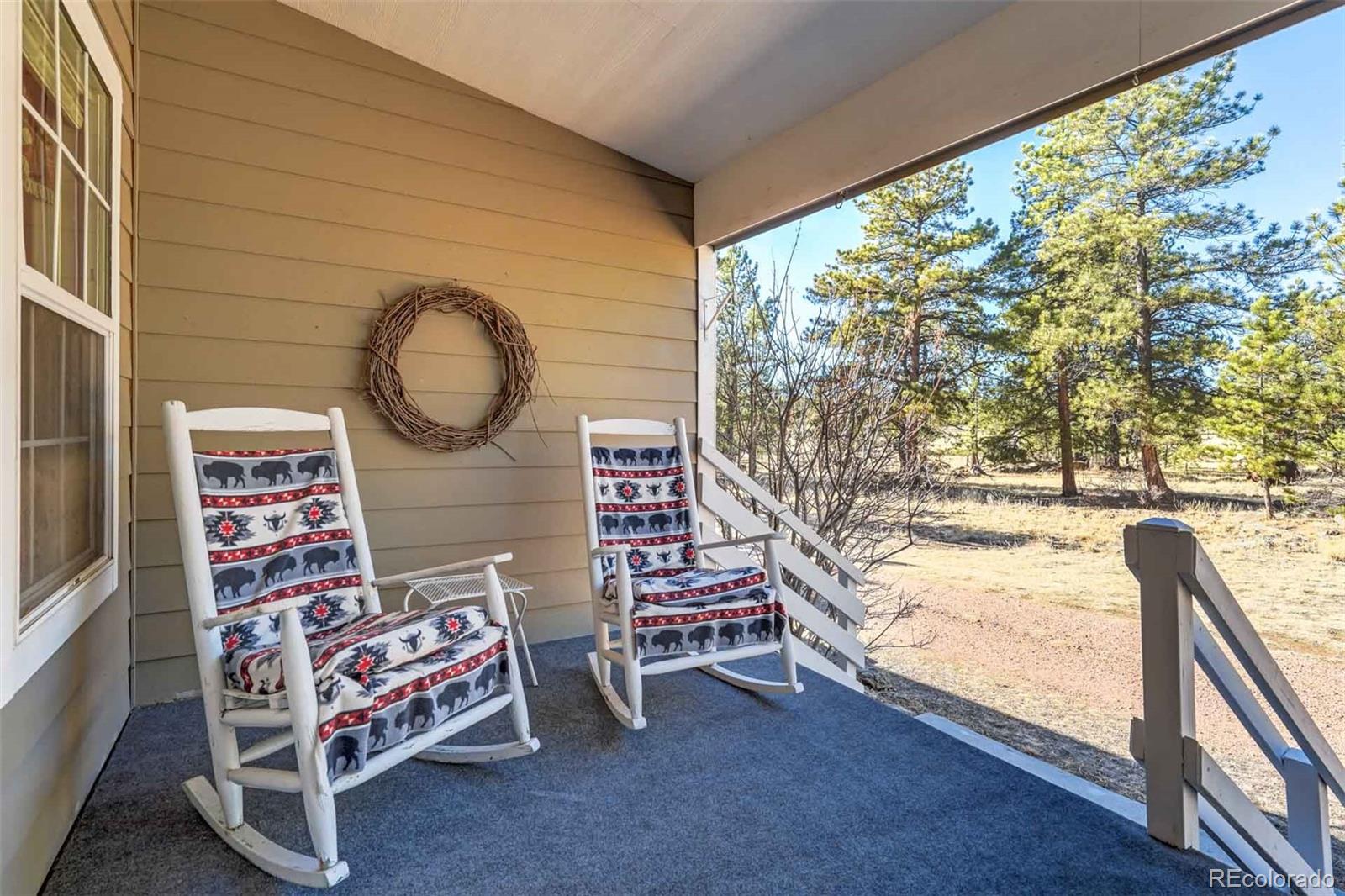 MLS Image #4 for 1190  doe valley road,guffey, Colorado