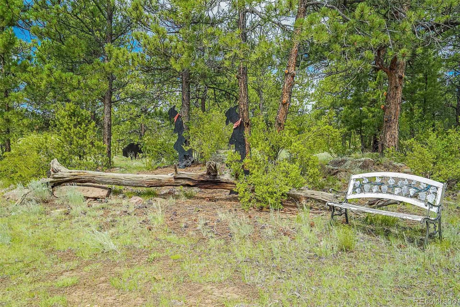 MLS Image #45 for 1190  doe valley road,guffey, Colorado